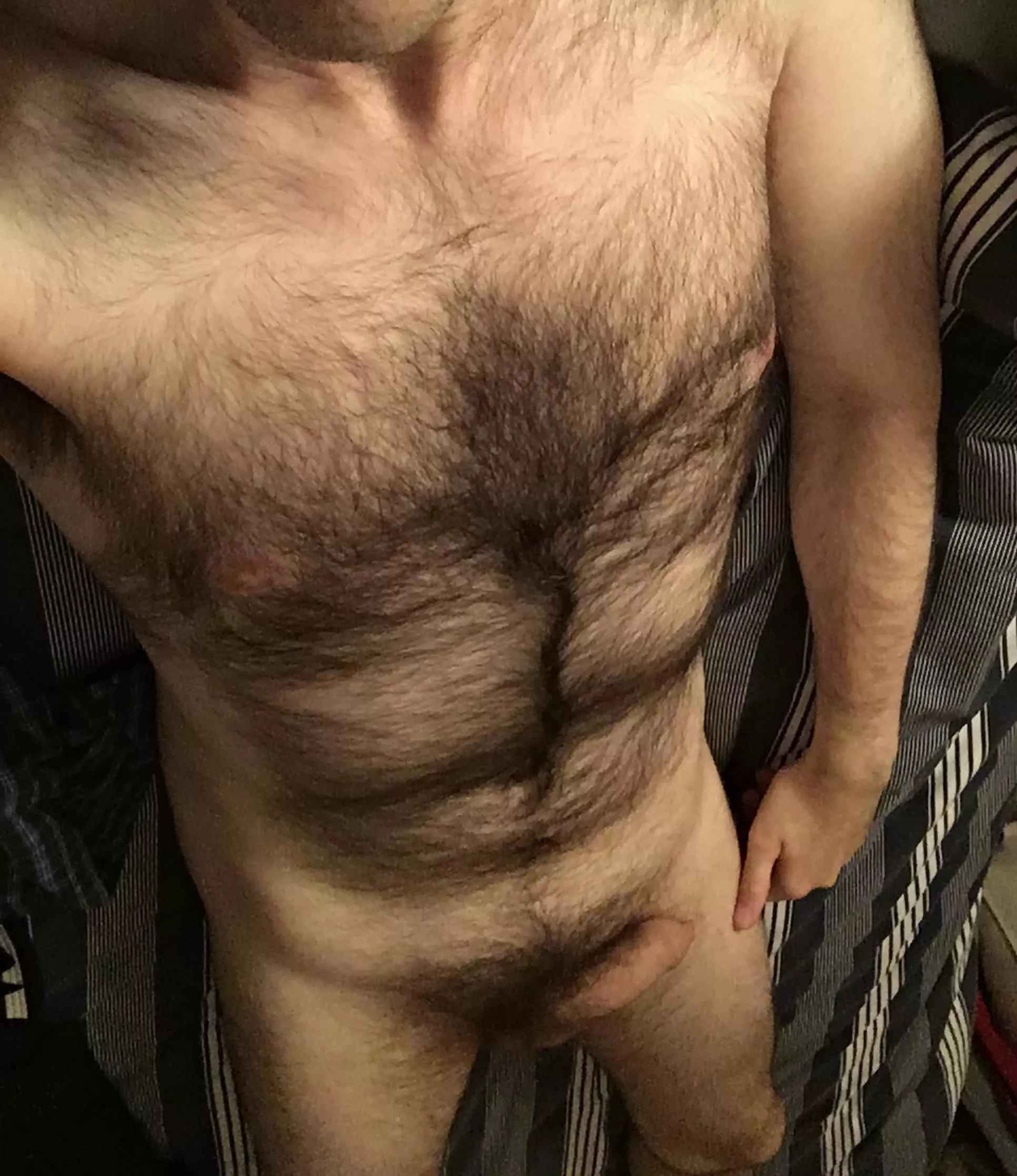 Iâ€™ve realised that people only really engage with my pics when I show either my chest or my dick. So here you all are, for the first time, both together.