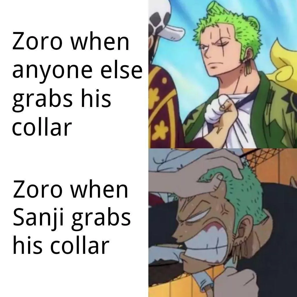 Zoro's Love for Sanji is on the next level !!