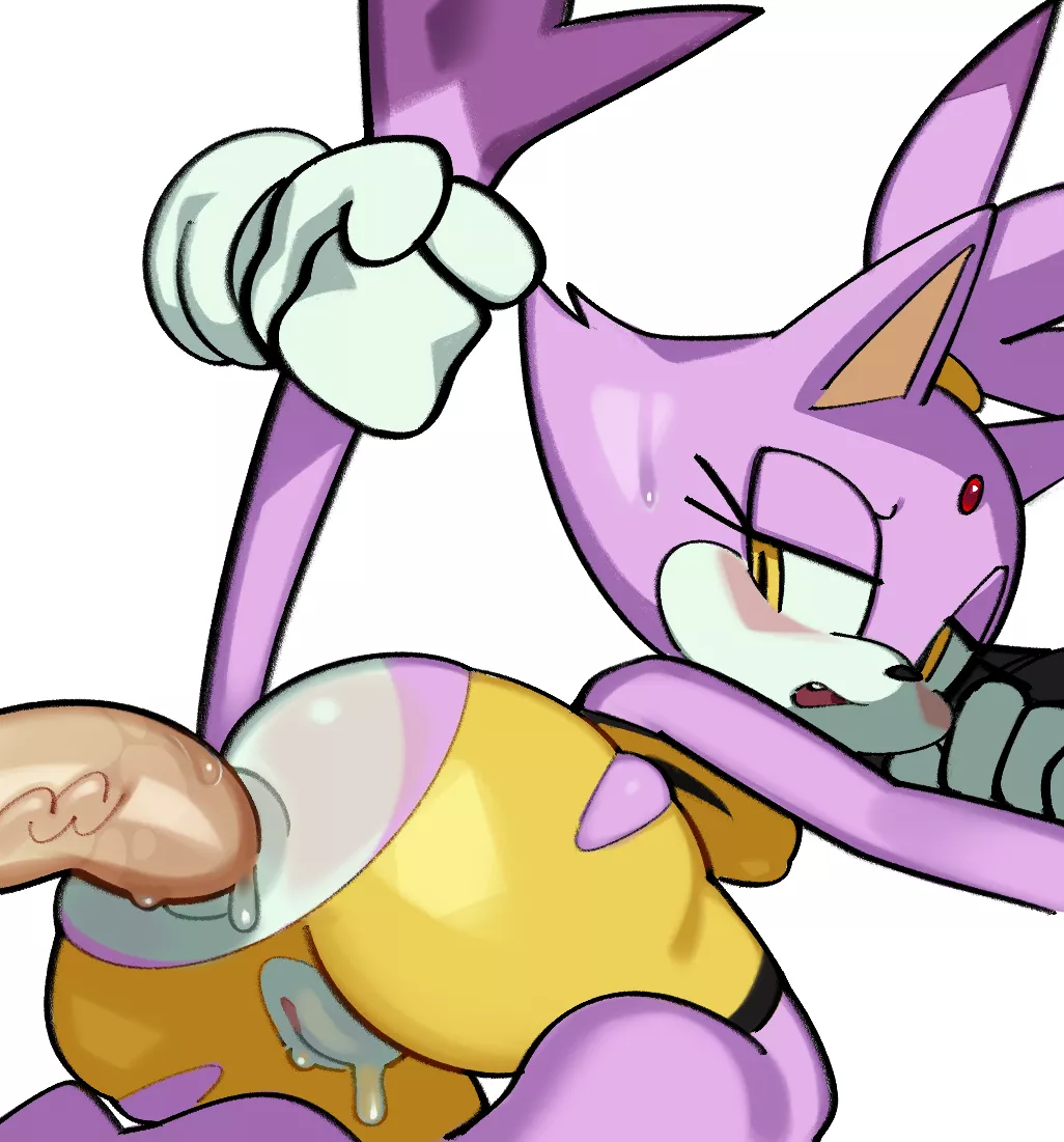 Blaze the Cat (Fiinel)