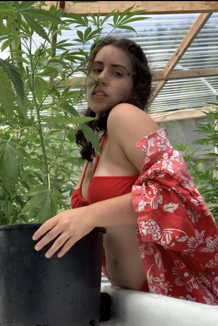 Let’s smoke and then fuck in the greenhouse