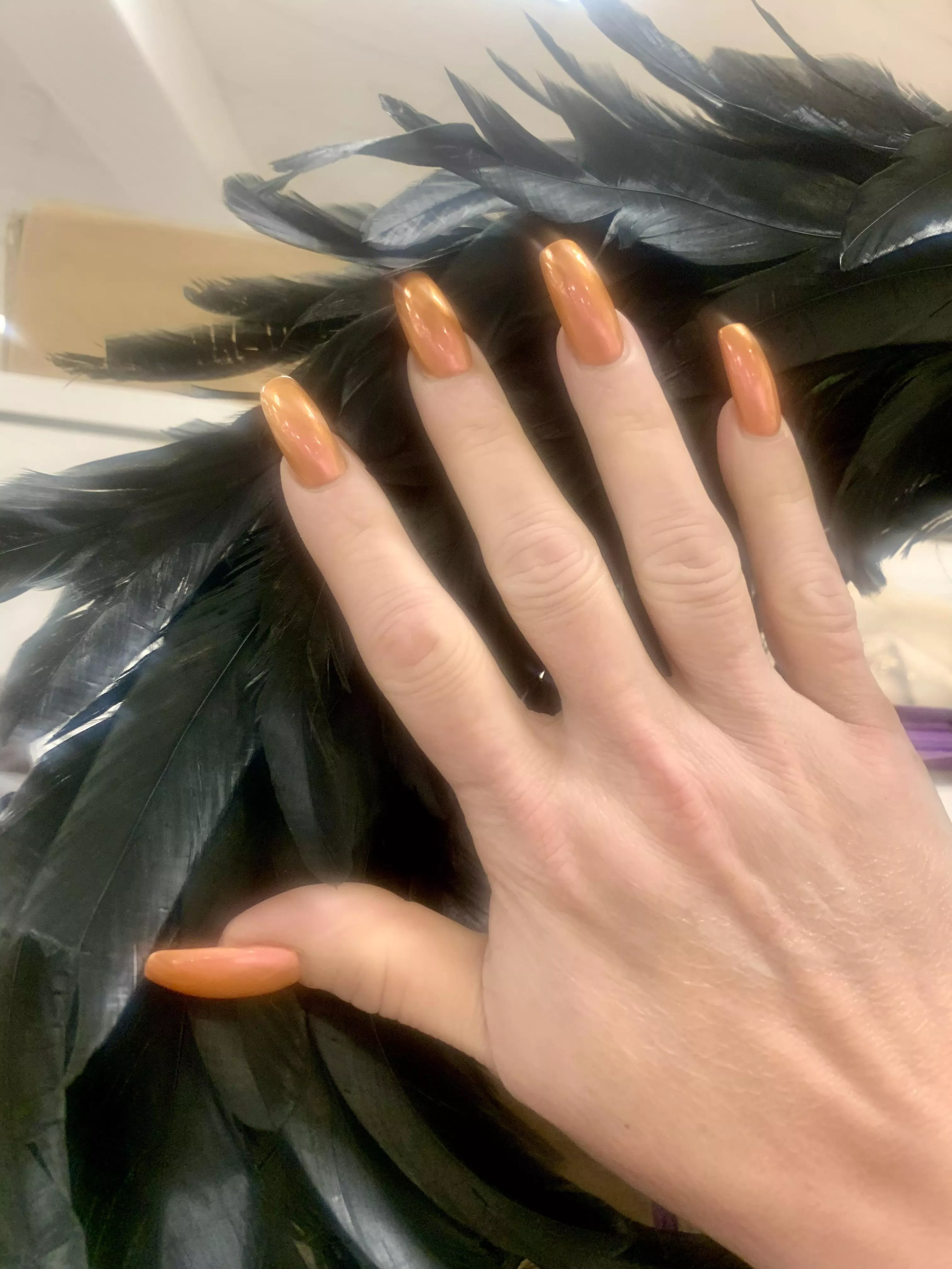 Fall nails caressing black feathers