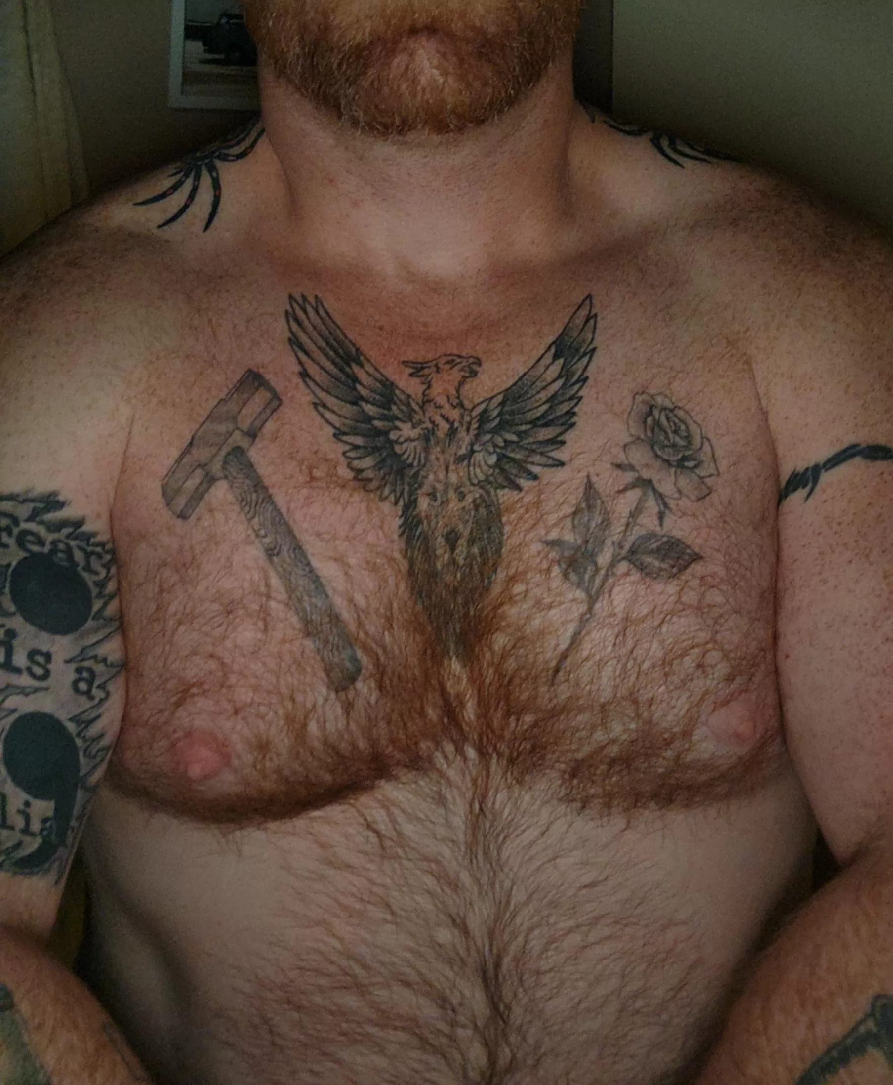 Ginger chest hair