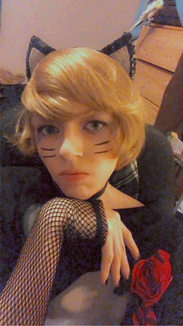 Happy Femboy Friday! Hereâ€™s me as a catboi :3