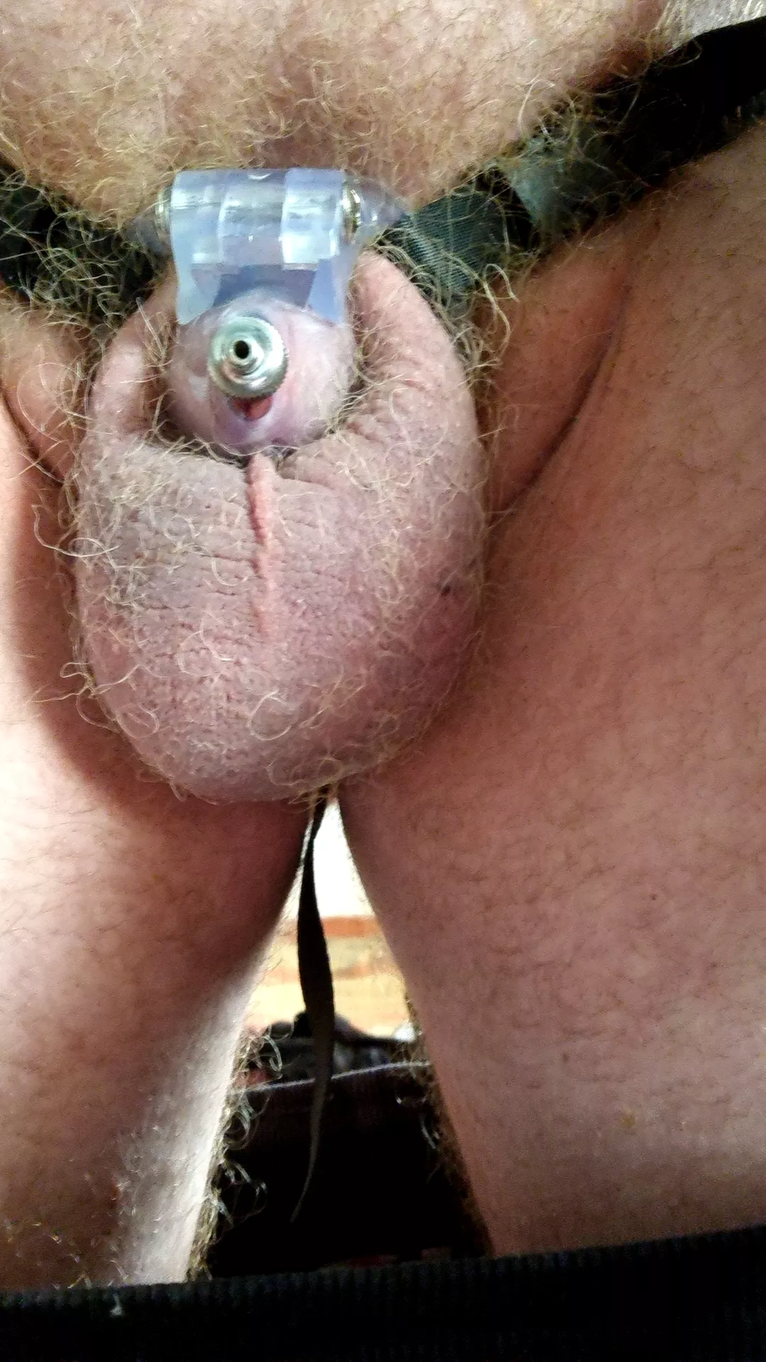 Nub cage with urethral tube. Happy Locktober, everyone x