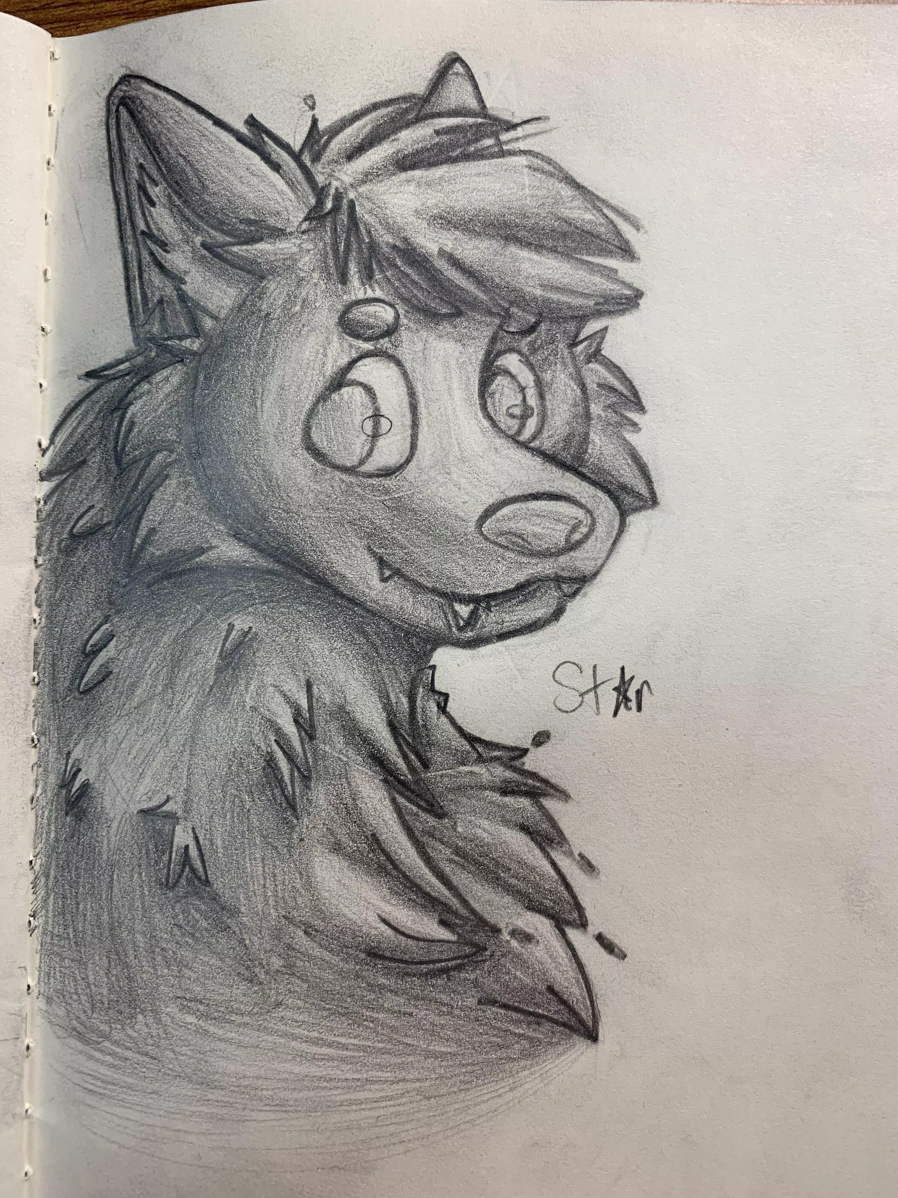 Werewolf sketch (Art by me)