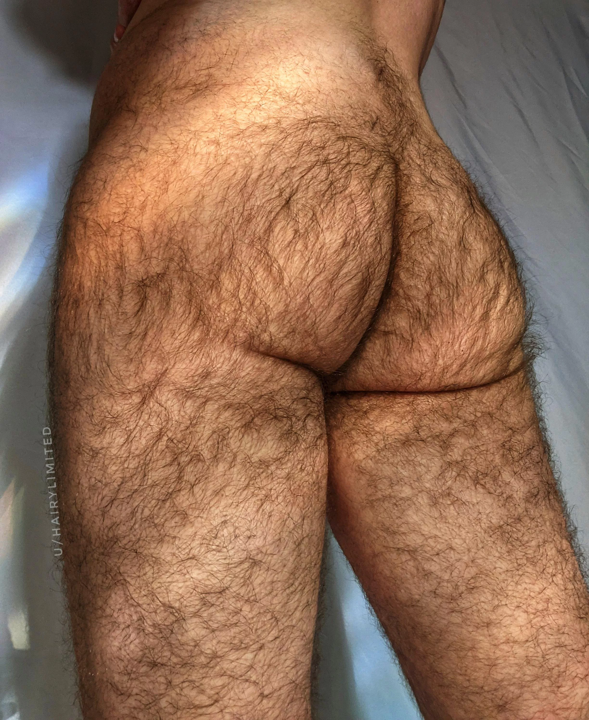 golden hour otter ass