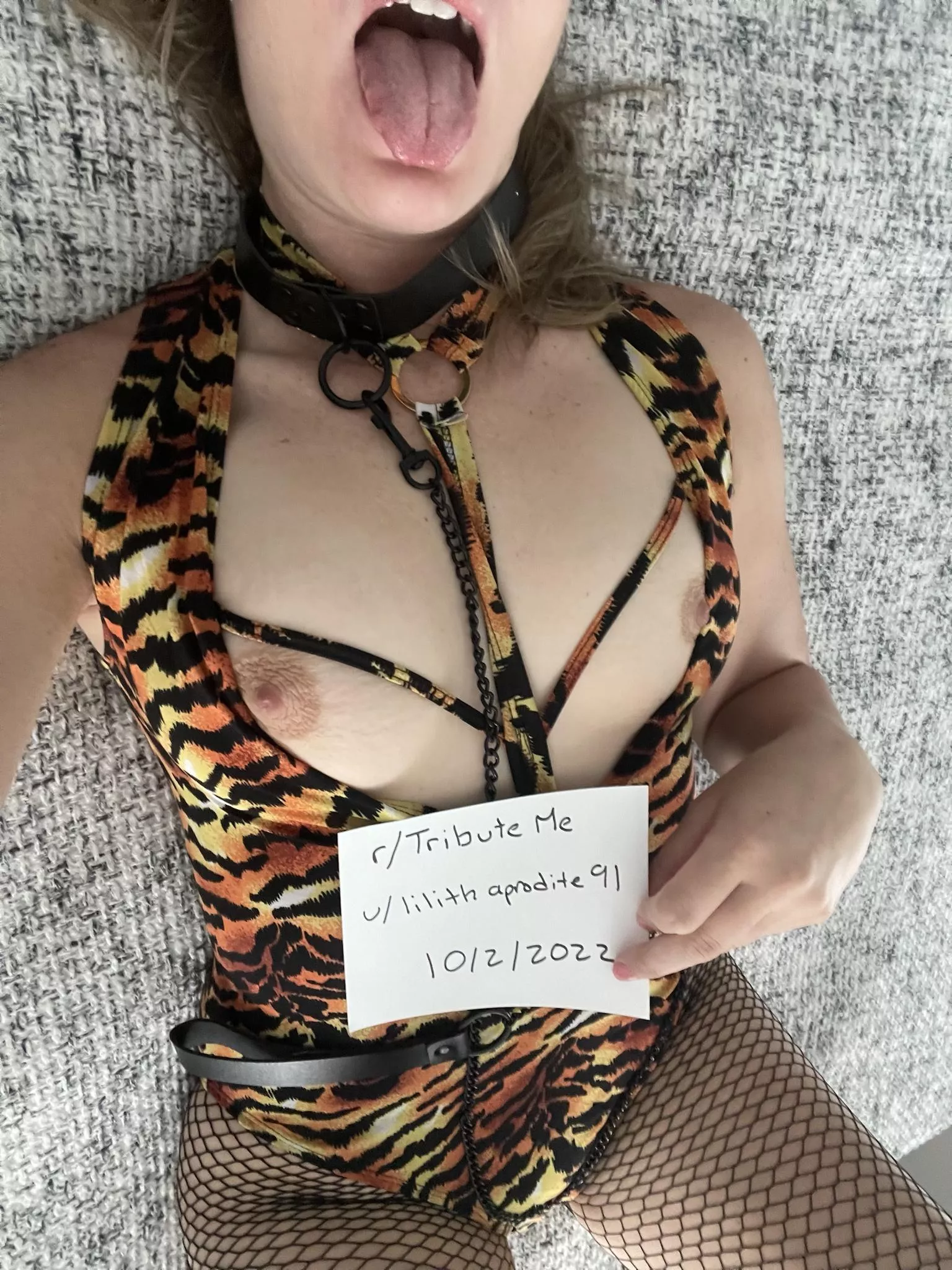 [verification] Help me earn my stripes ;)