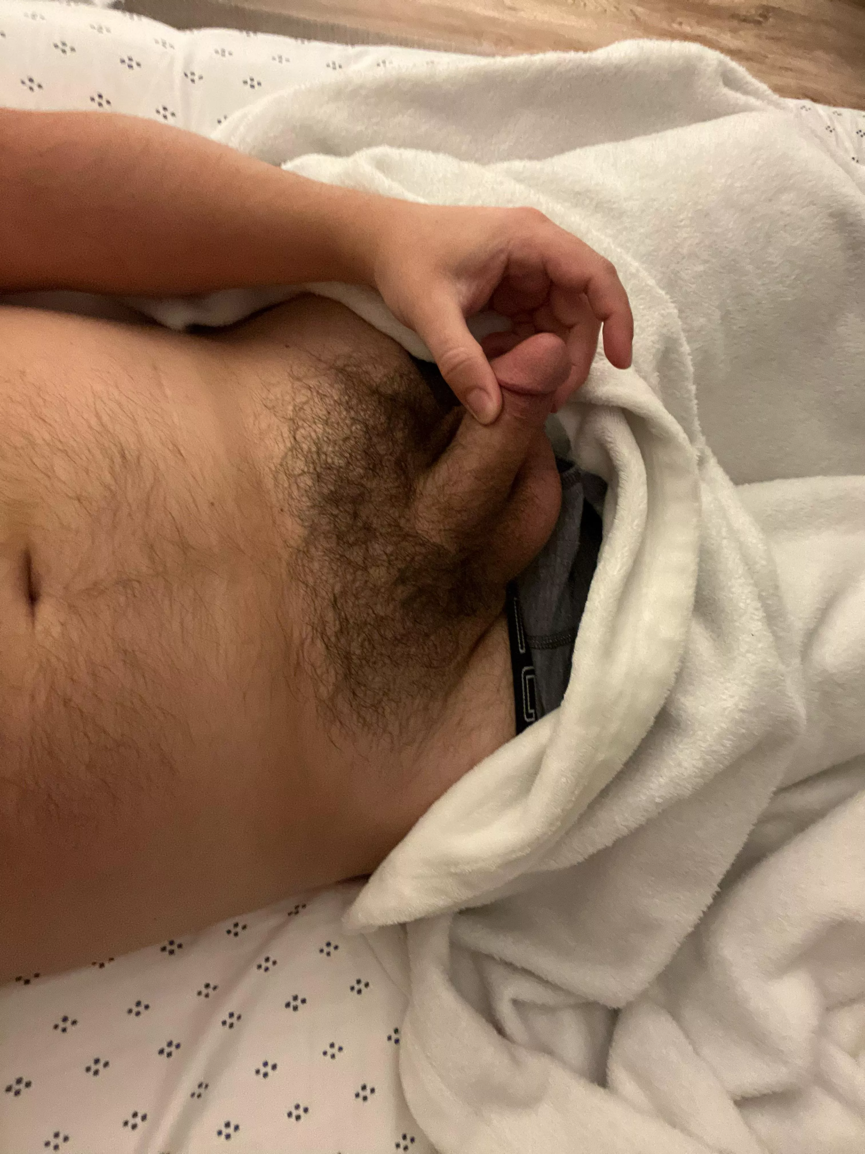 32 hairy horny cock