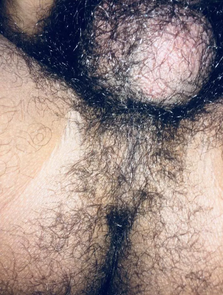 Hairy is always sexy