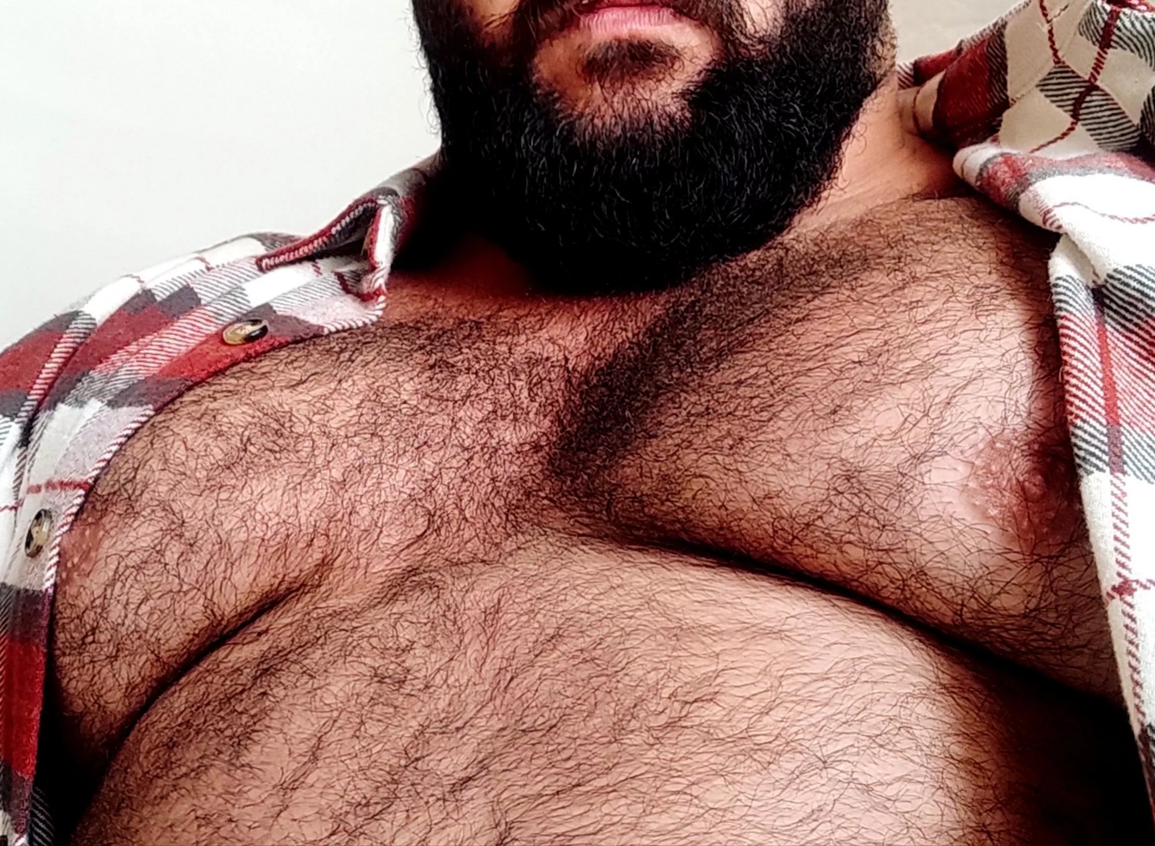 Who wants to touch my hairy chest