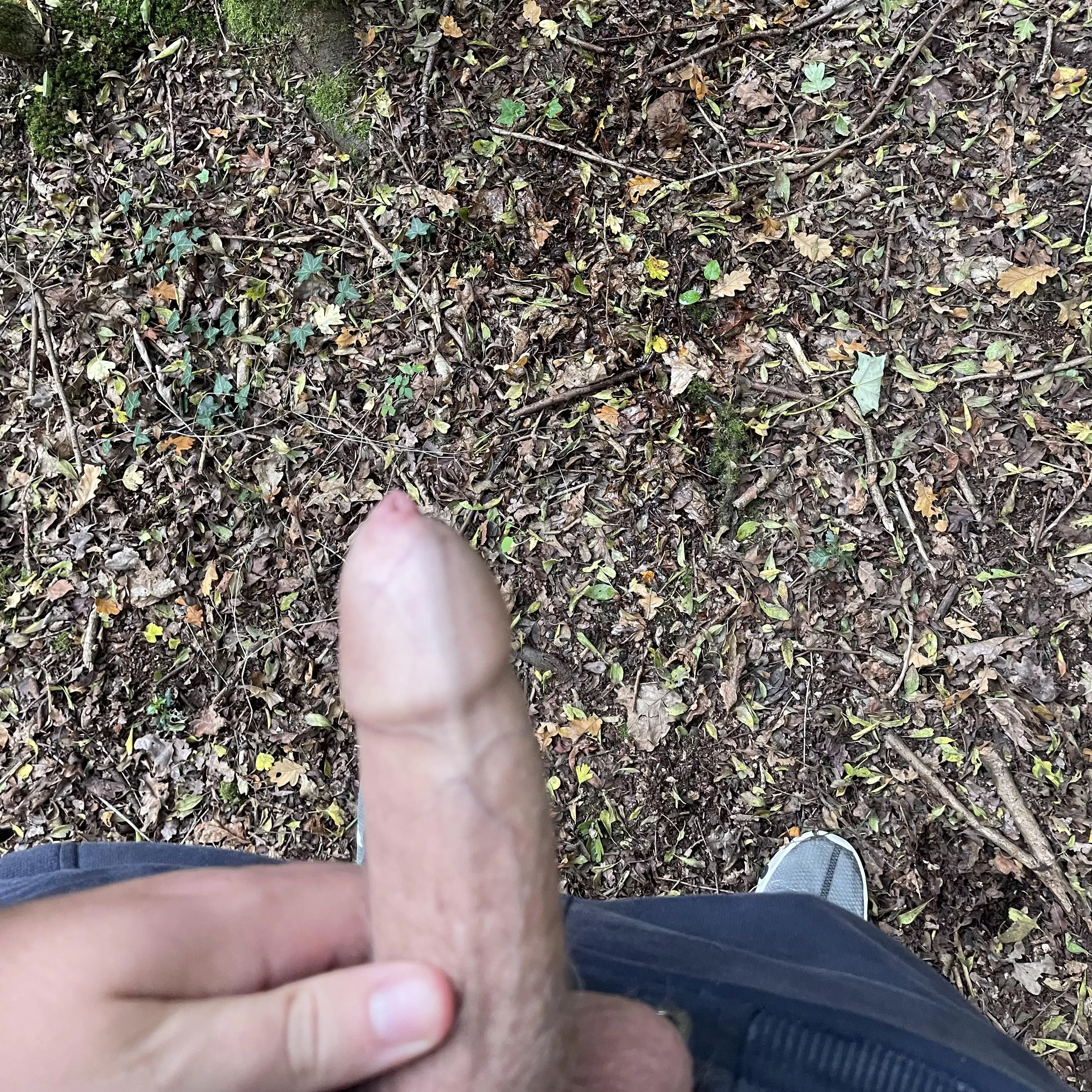 (21) hope someone notices me like this in the forest