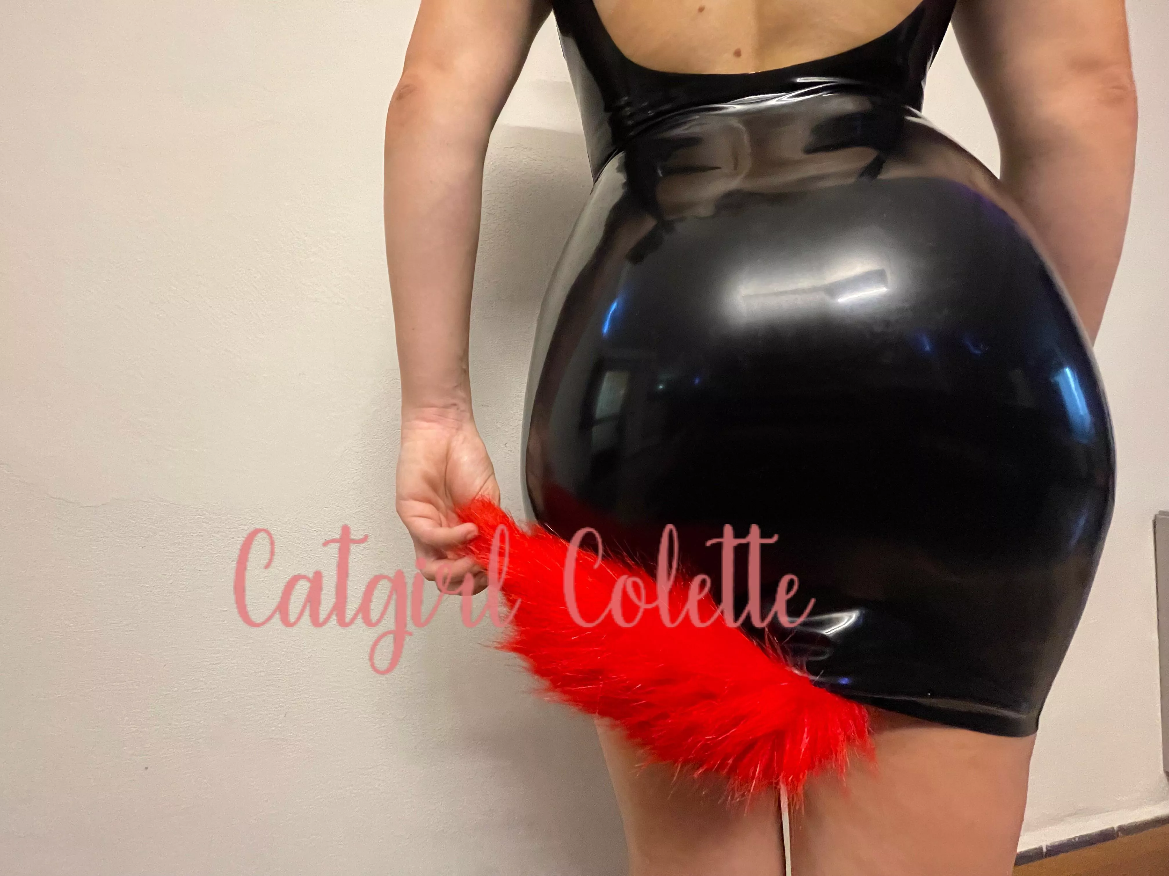 A clue, the tail isnâ€™t attached to the latex dressðŸ¤«