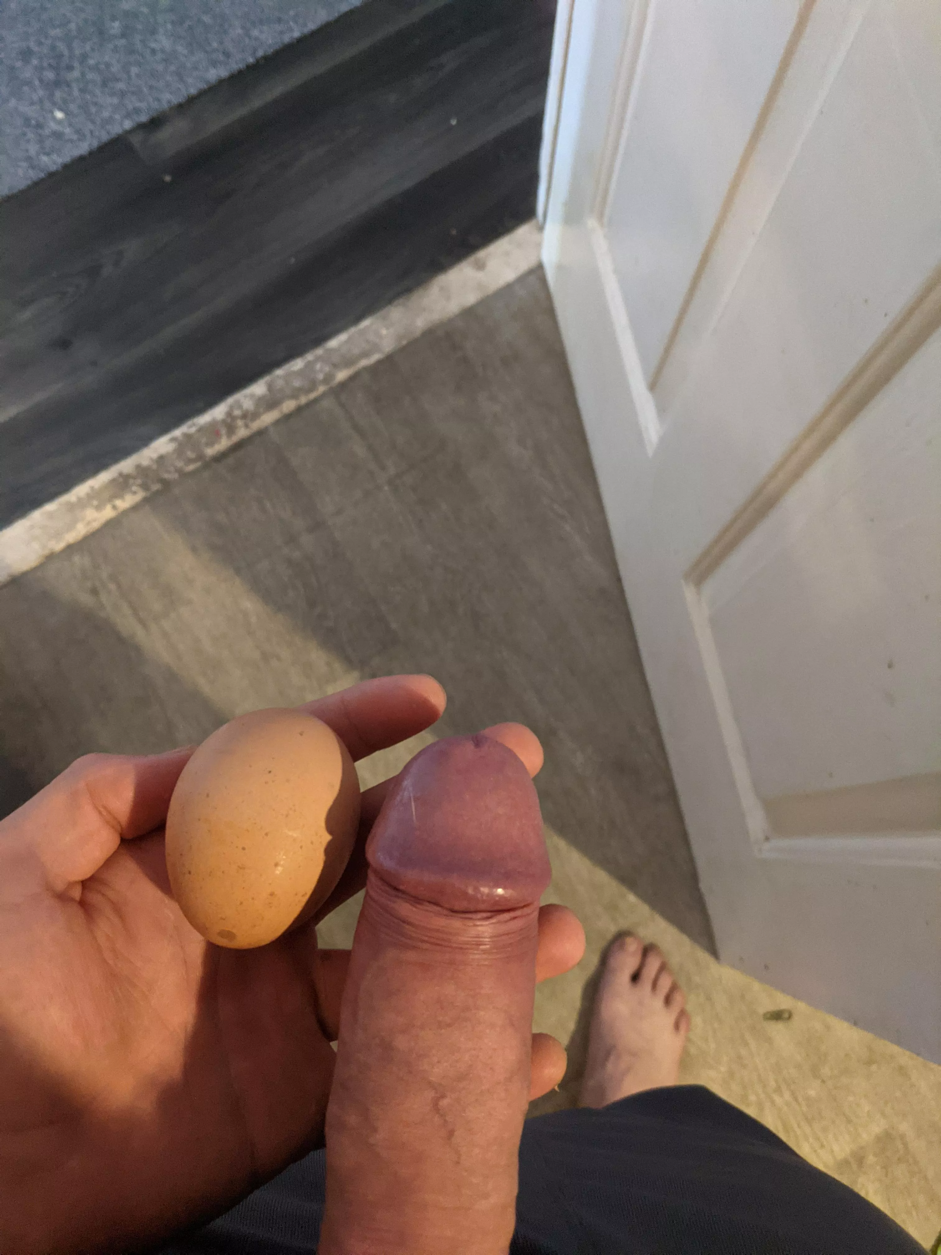 cock head vs egg