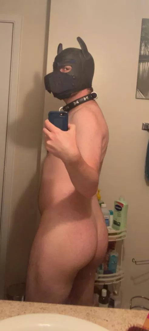 Do I have a nice ass? 🐶