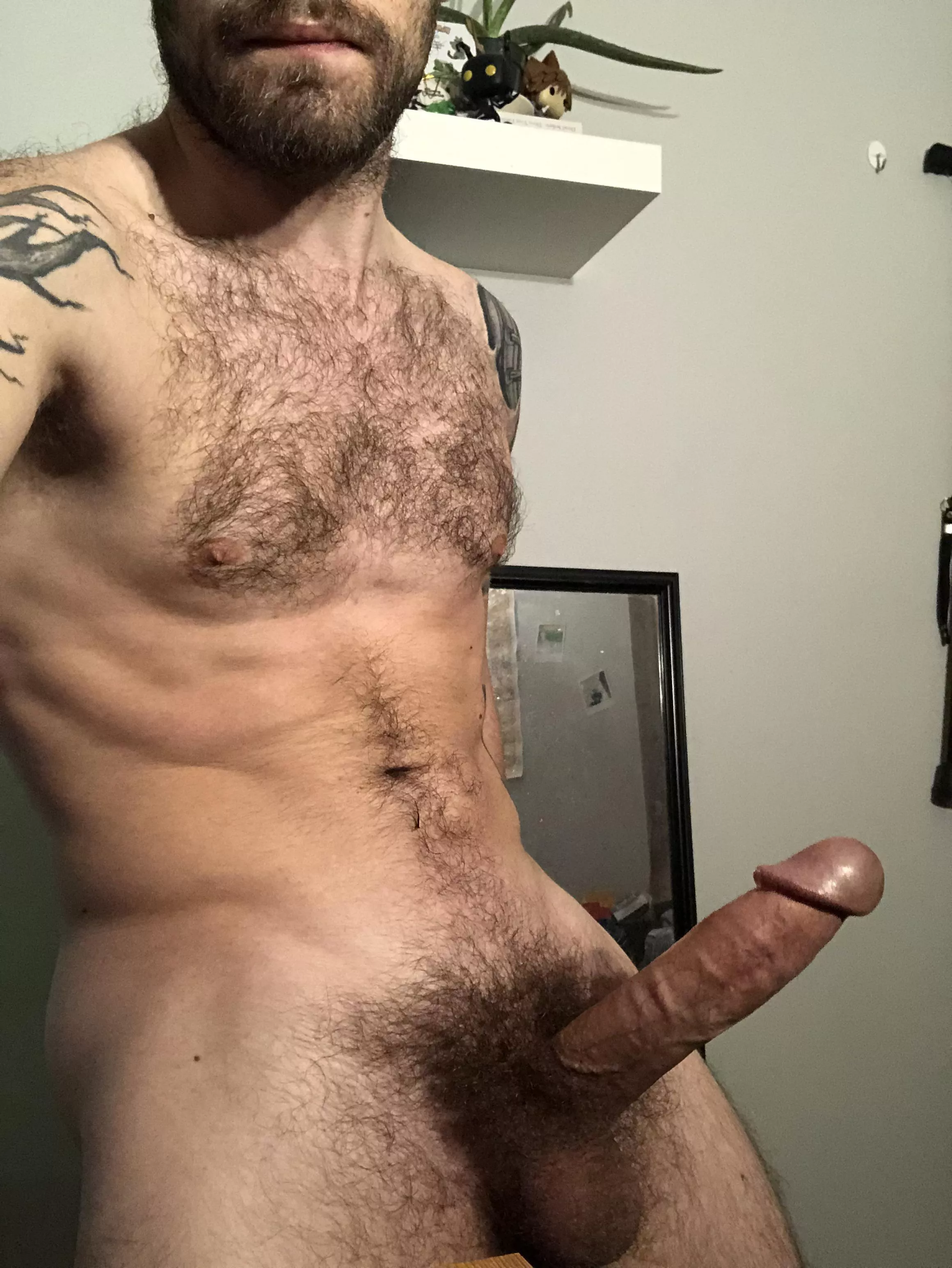 Enjoy my hairy otter cock!