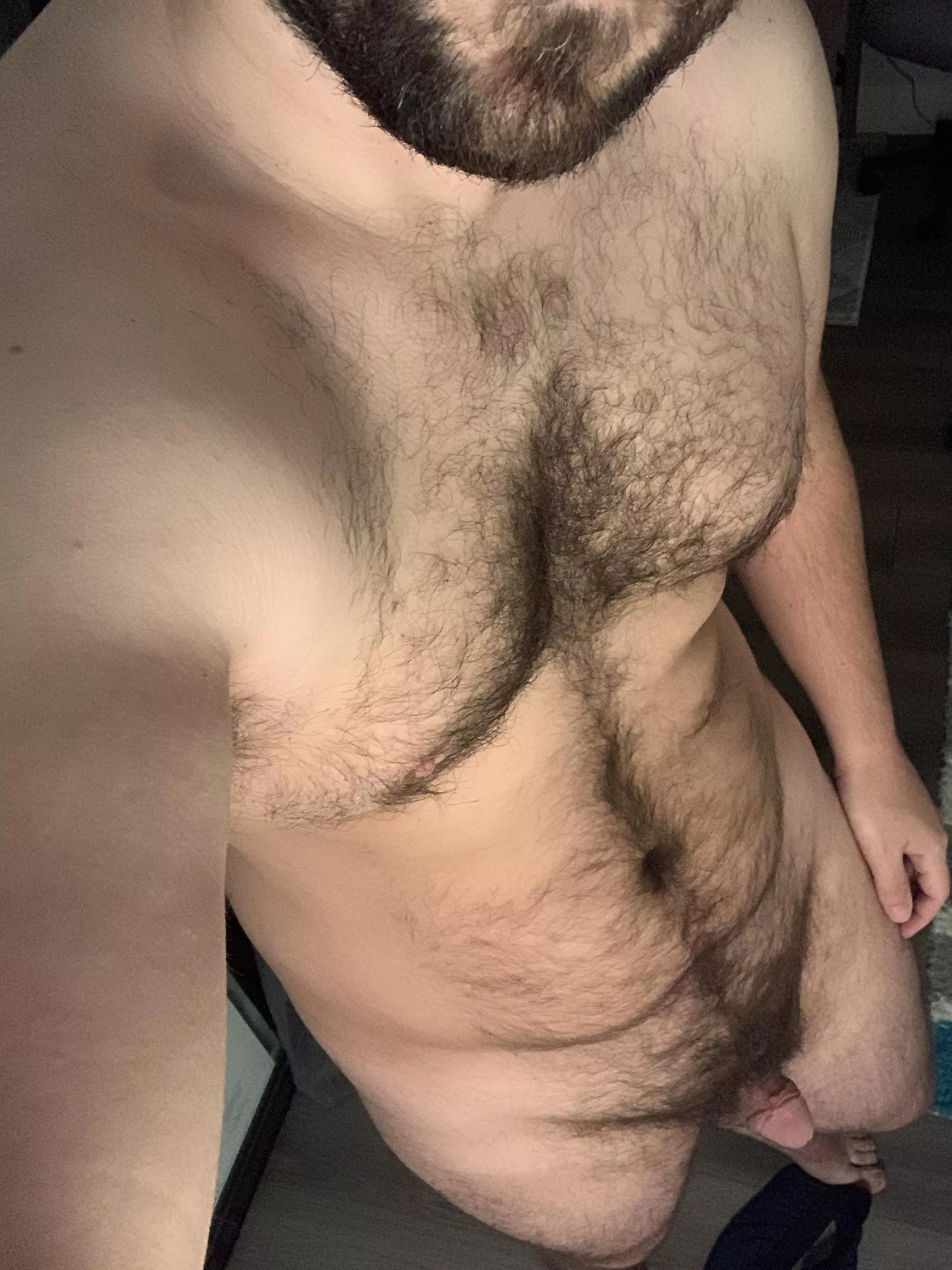 Getting the otter body back