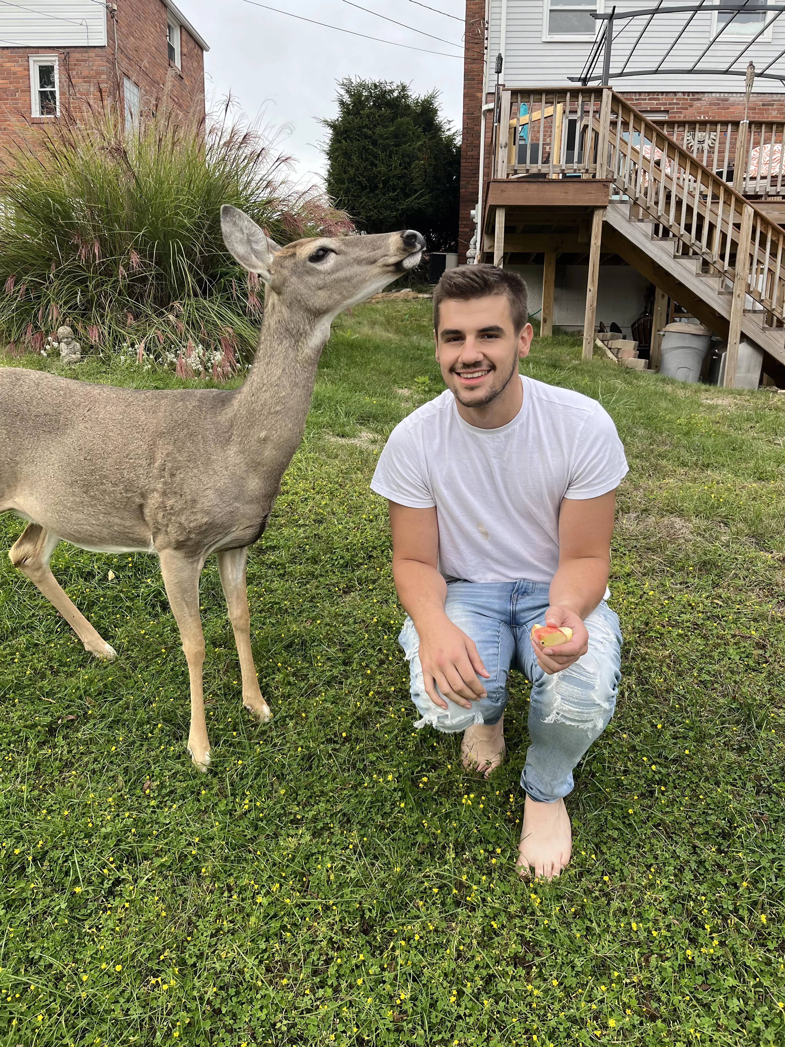 I got a pet deer !