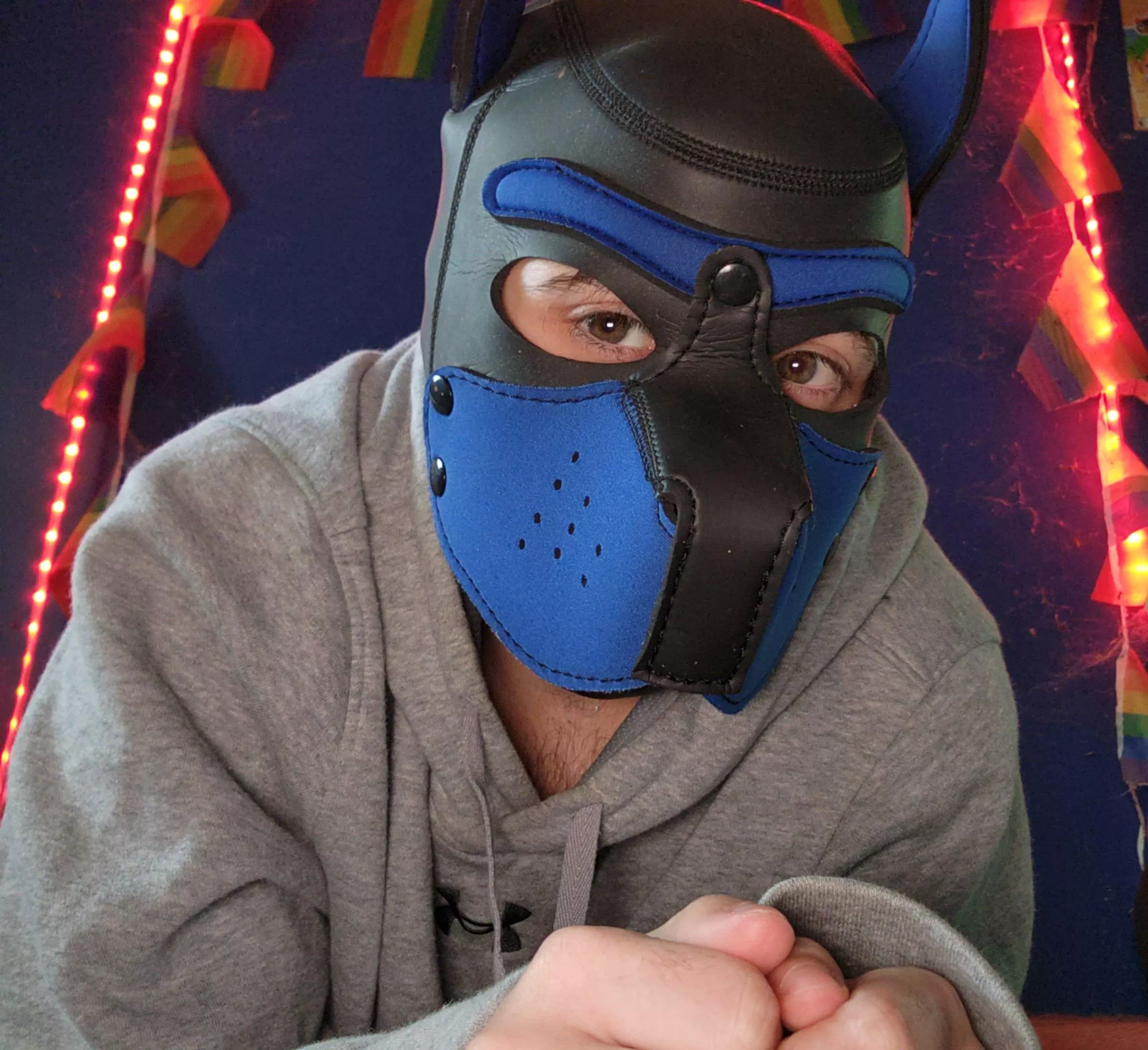 Is it playtime yet?? ðŸ¦´ðŸ’™