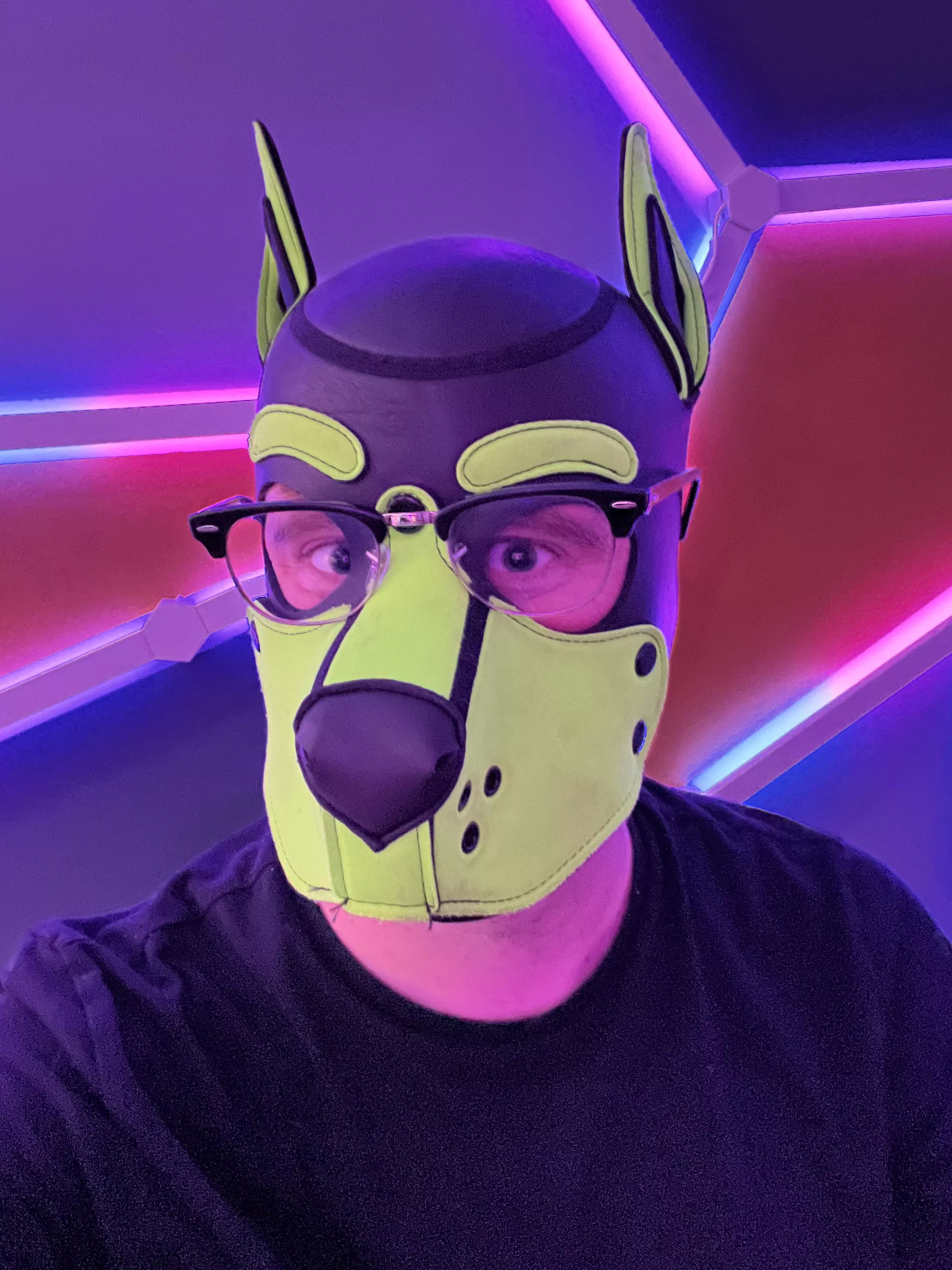 Nerdy Pup wants some love