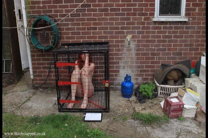 When my girlfriend moved in she made it very clear that my slut was not allowed indoors.