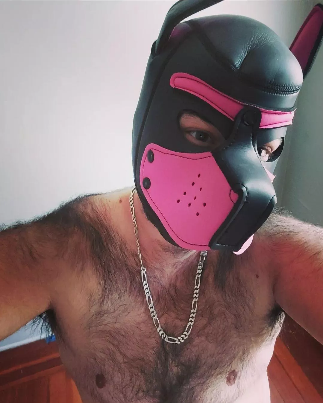 come pet this furry pup