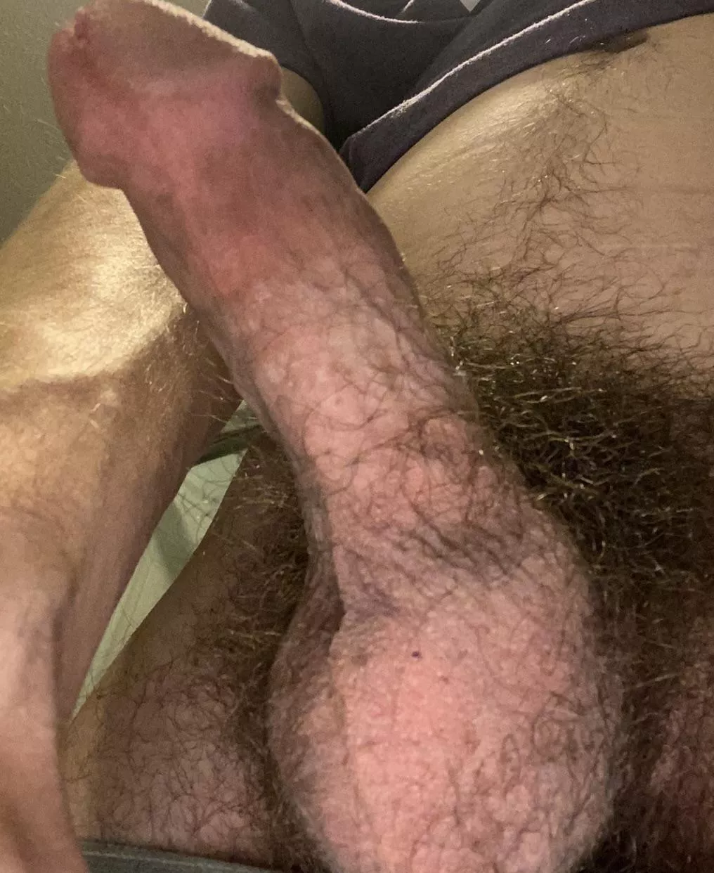 Just another hard, hairy dick!