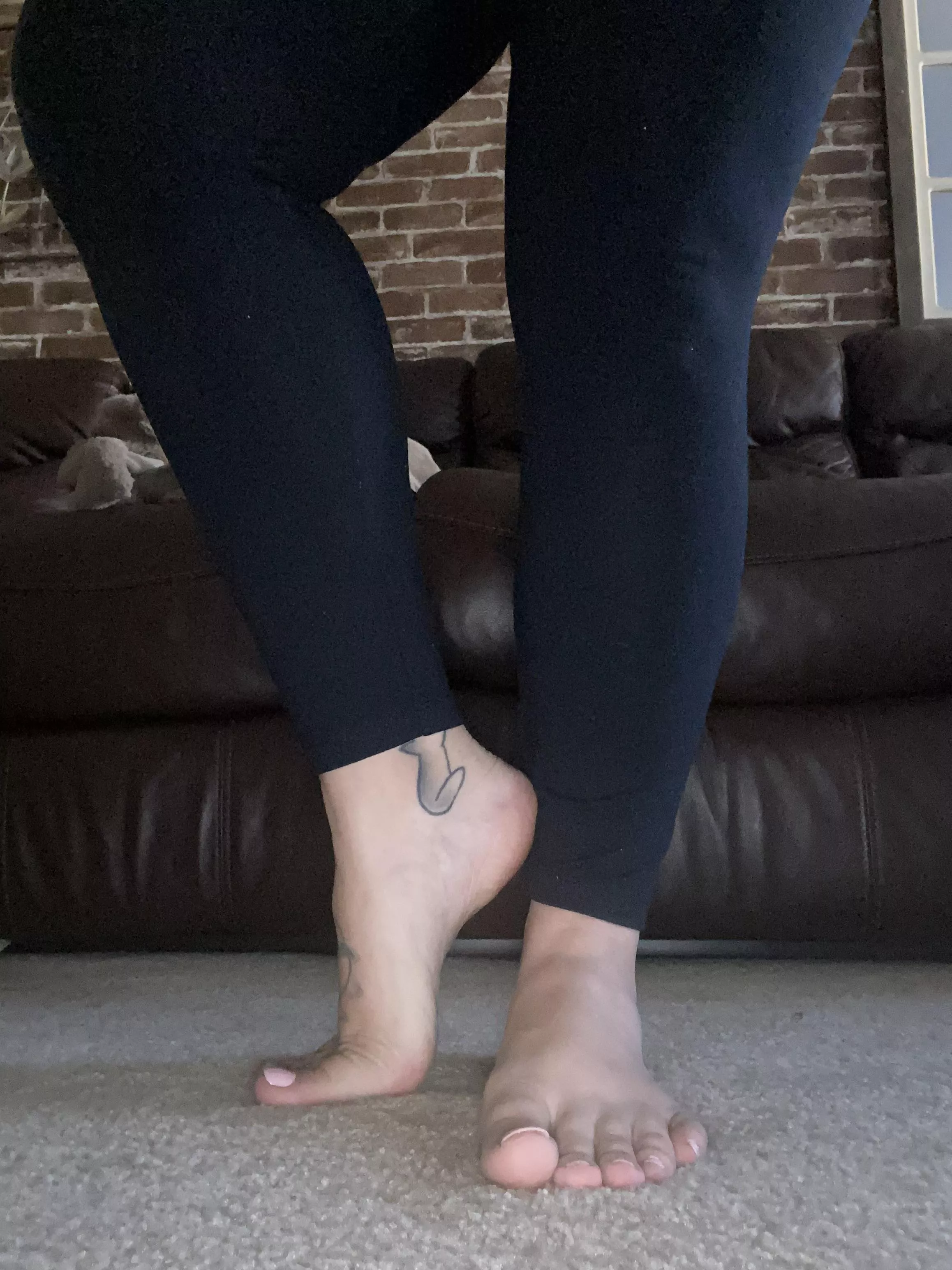 Lick along my arches like a good boy?