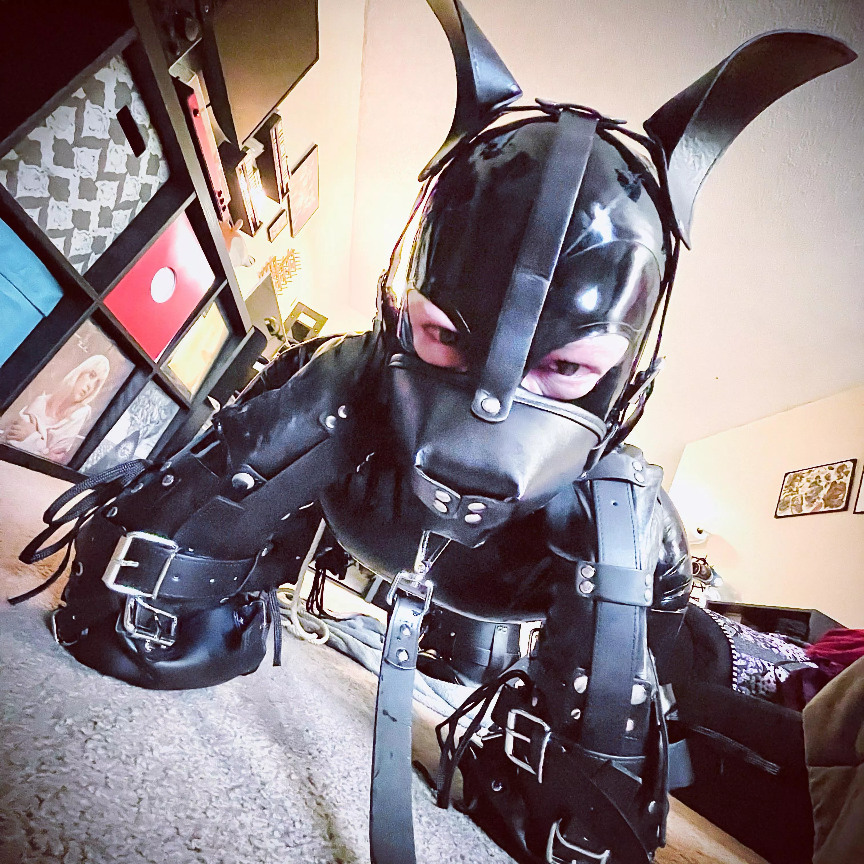 Such a cute rubber pup! 🐶