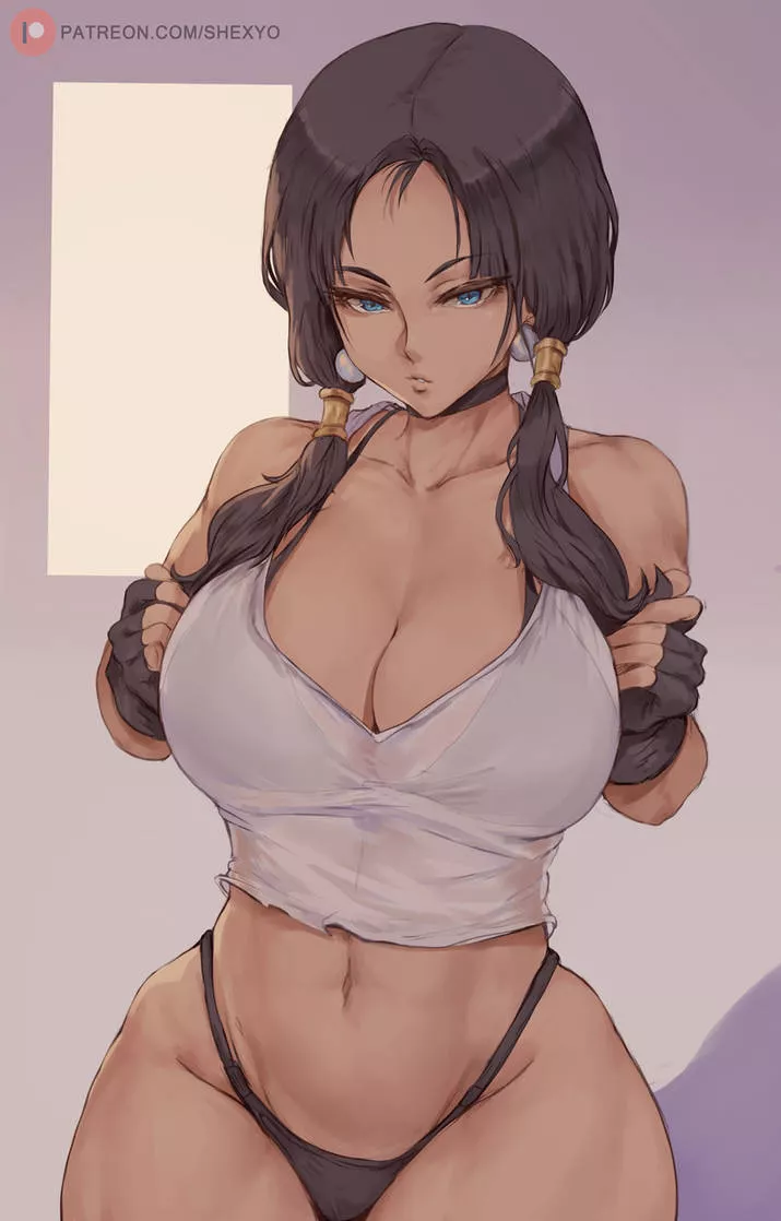 Videl (shexyo) [Dragon Ball Z]