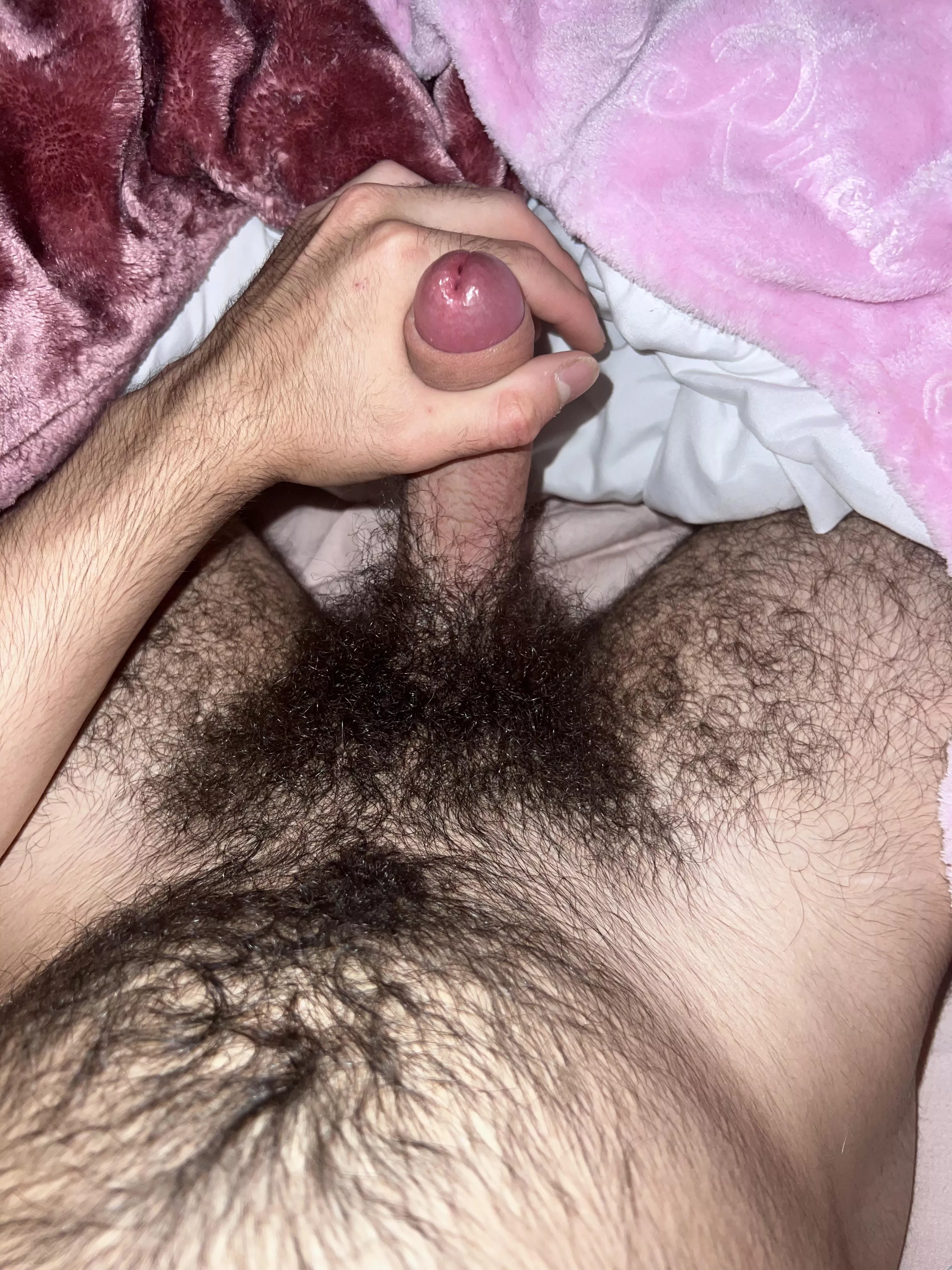 who wants my hairy cock?