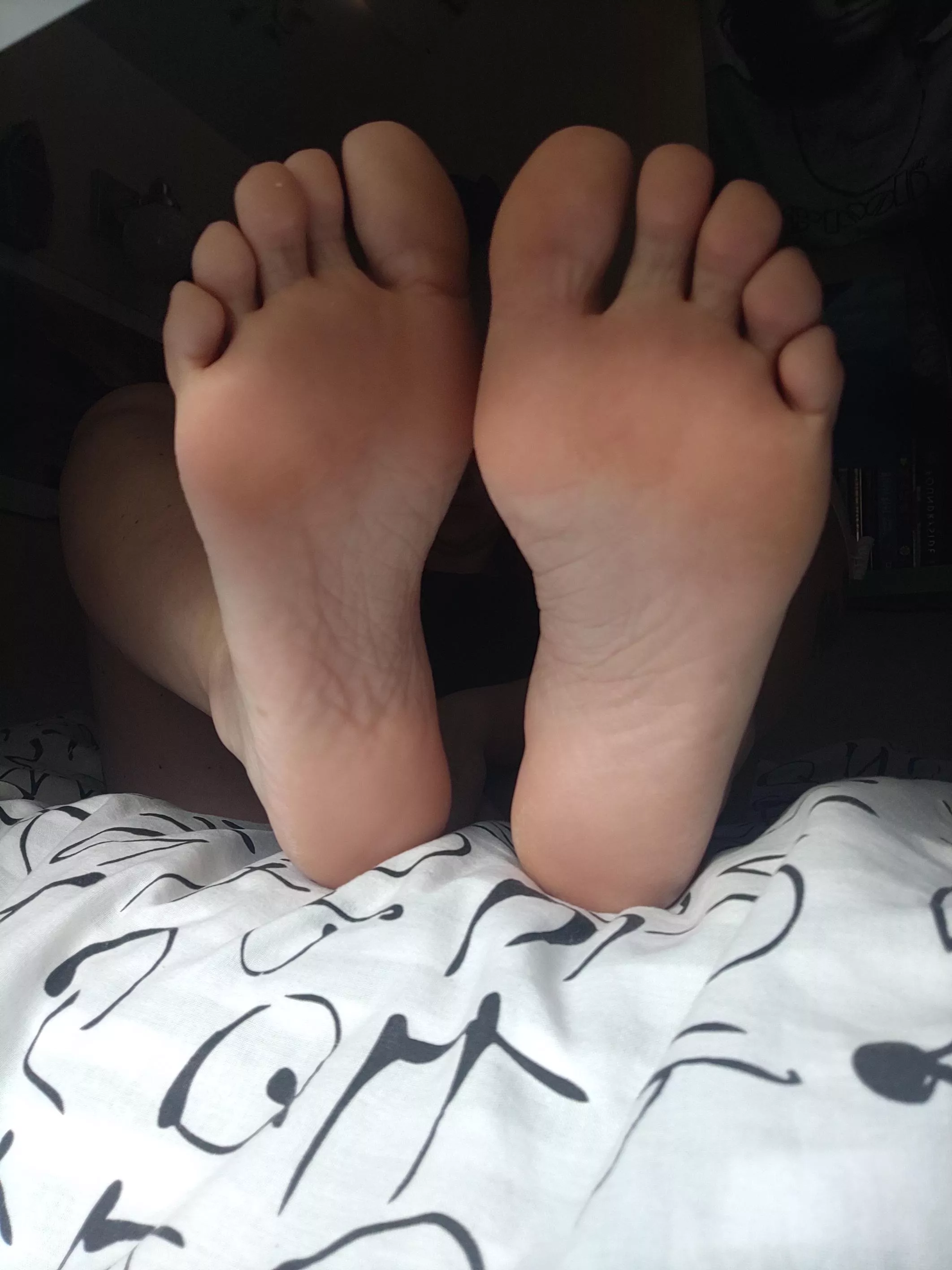 POV Your Neighbours Window ðŸ‘£