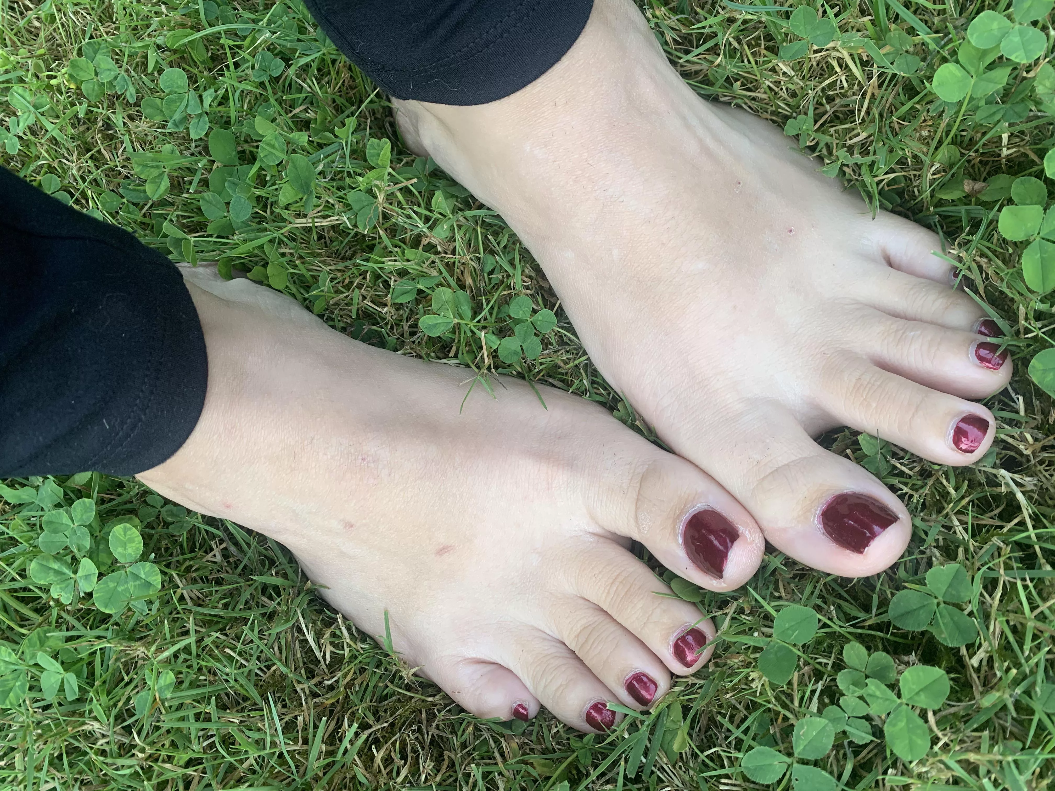 Red toes in grass