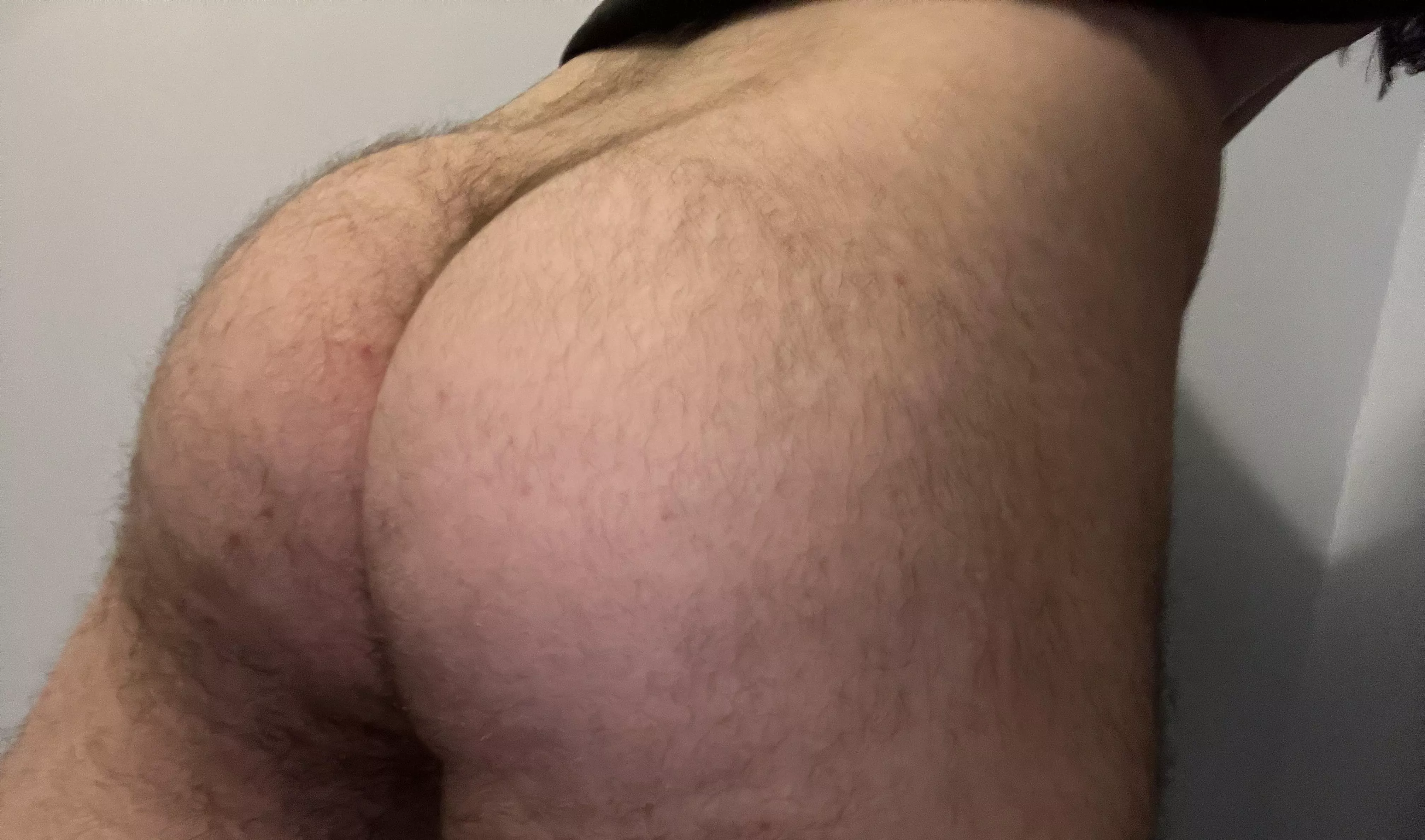 Shove you face in my hairy ass