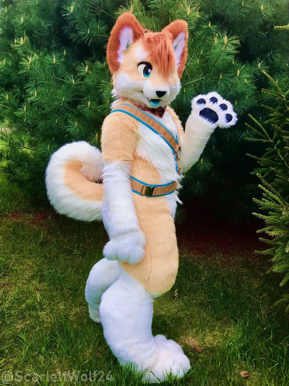 Happy #FursuitFriday! 🐶🌲🐾