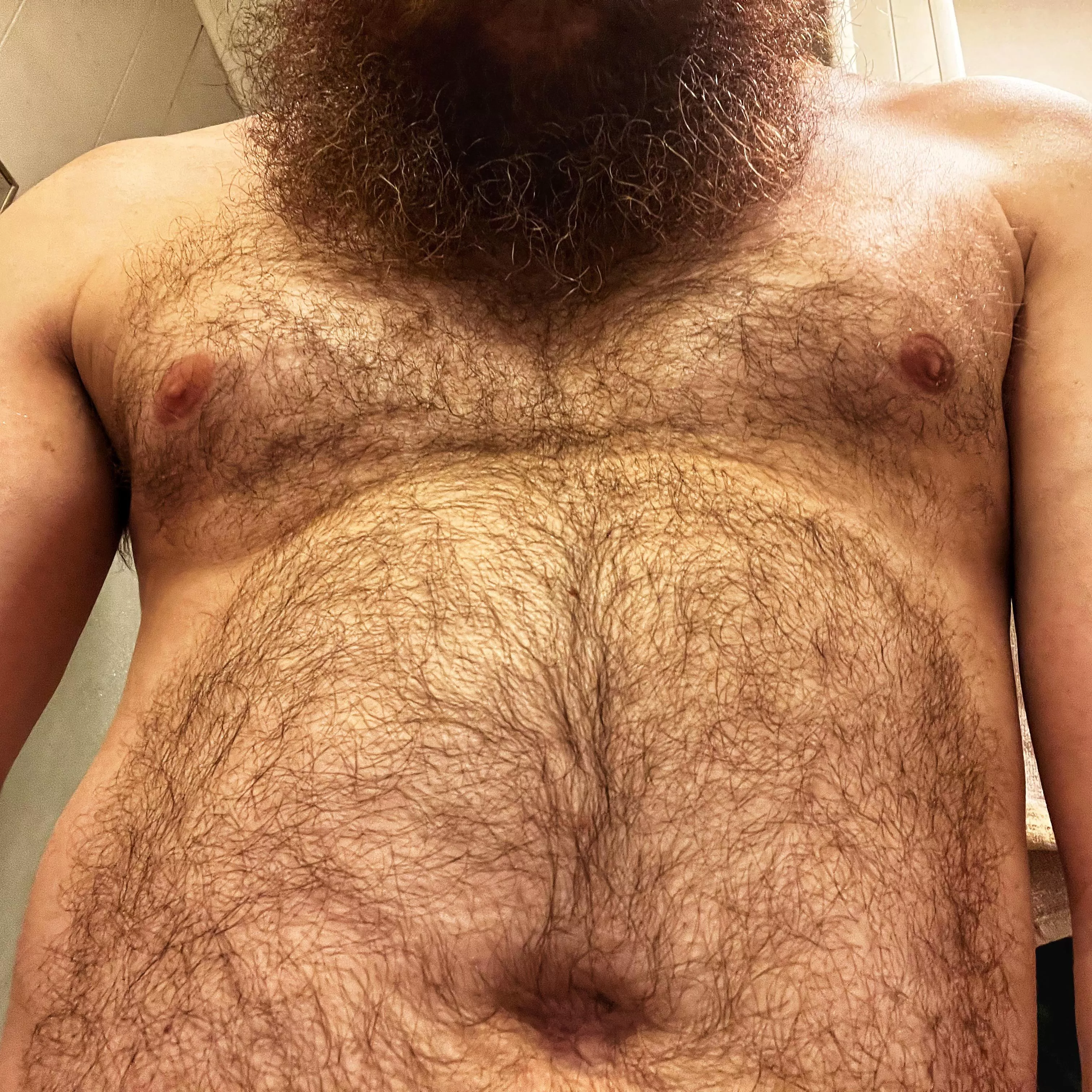 Belly hair and beard