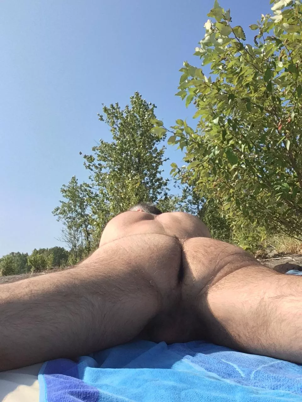 Enjoying the sun on my ass