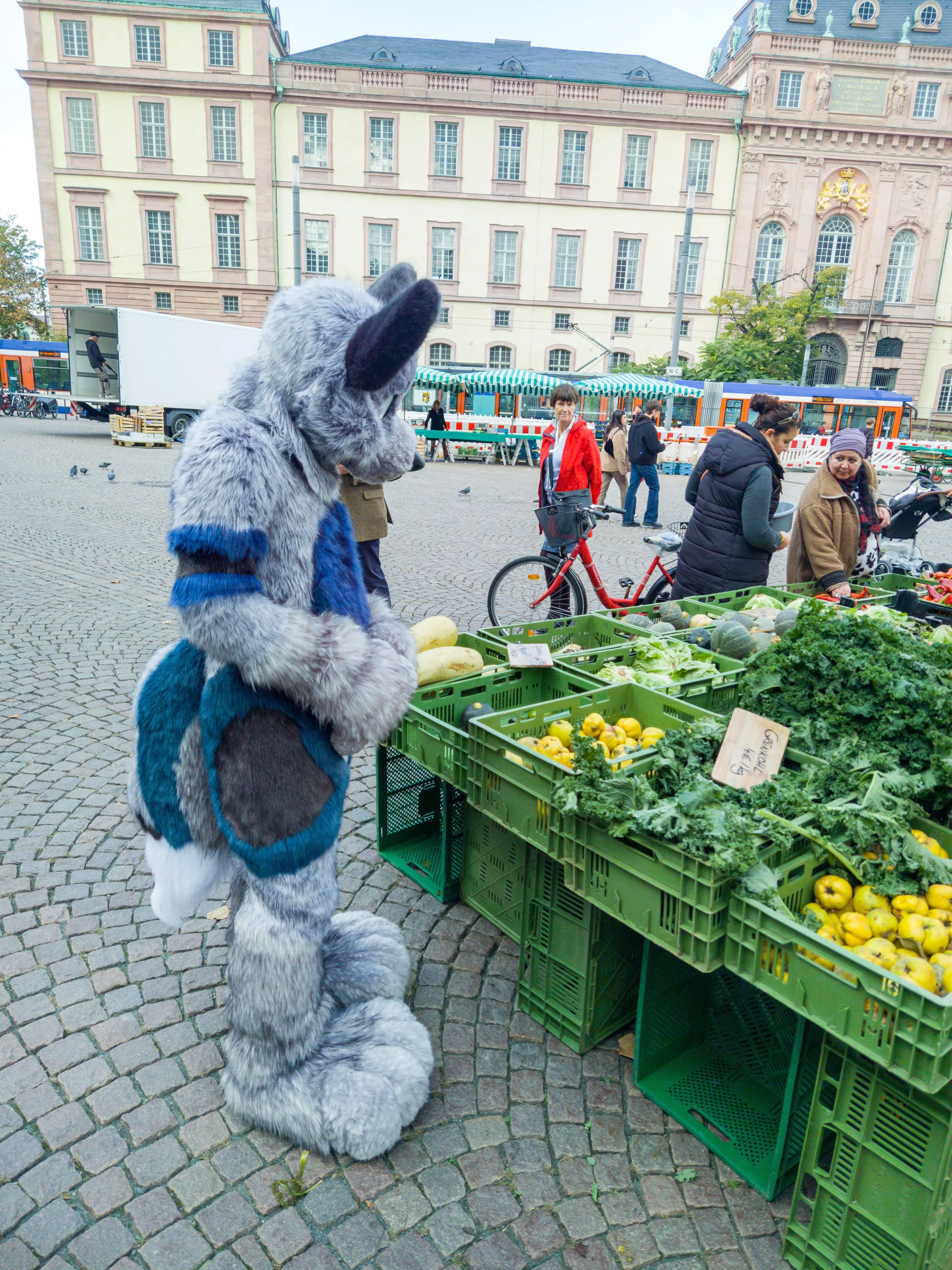 I'm looking at kale at the farmer's market