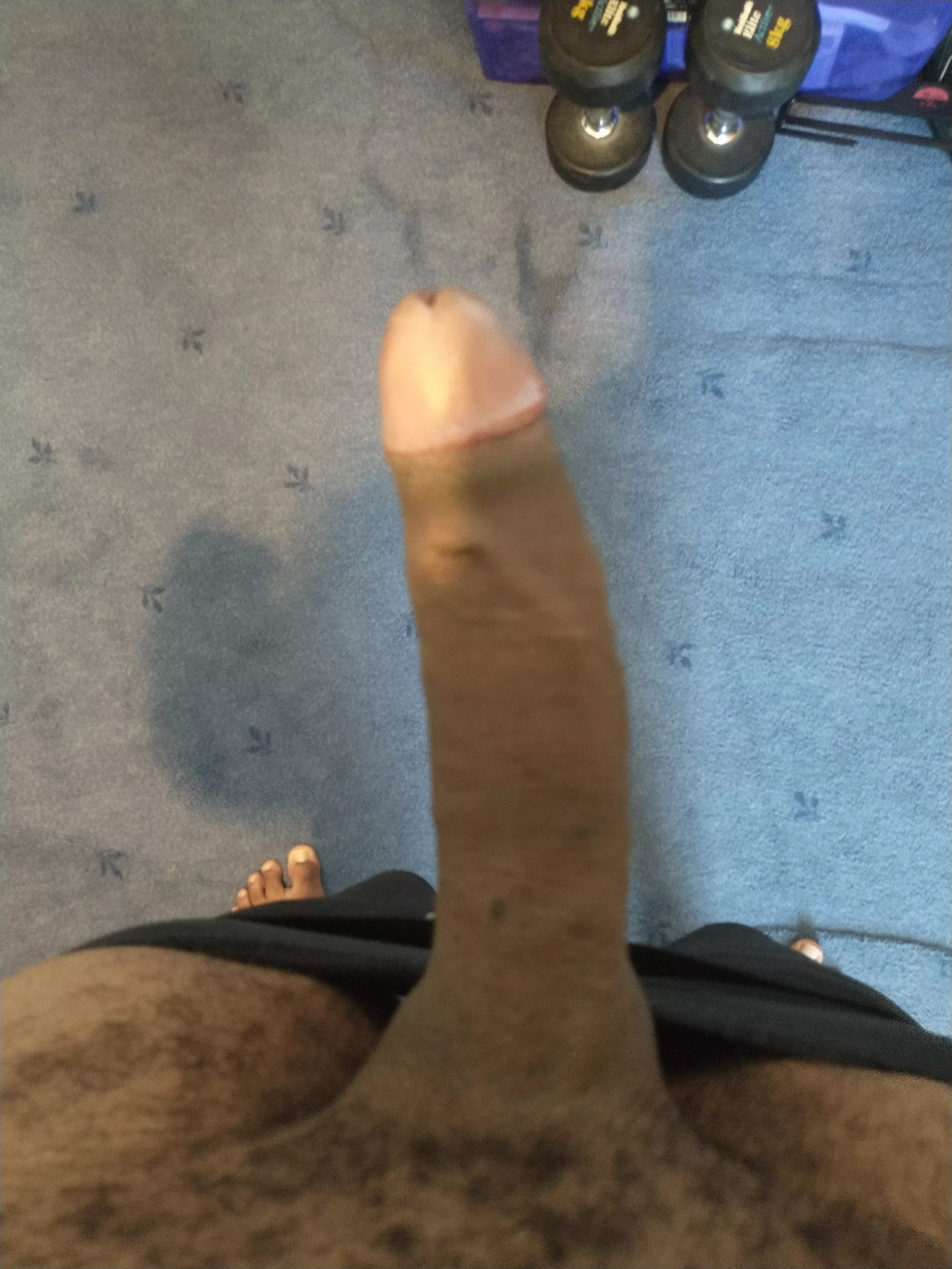 My freshly shaved cock!