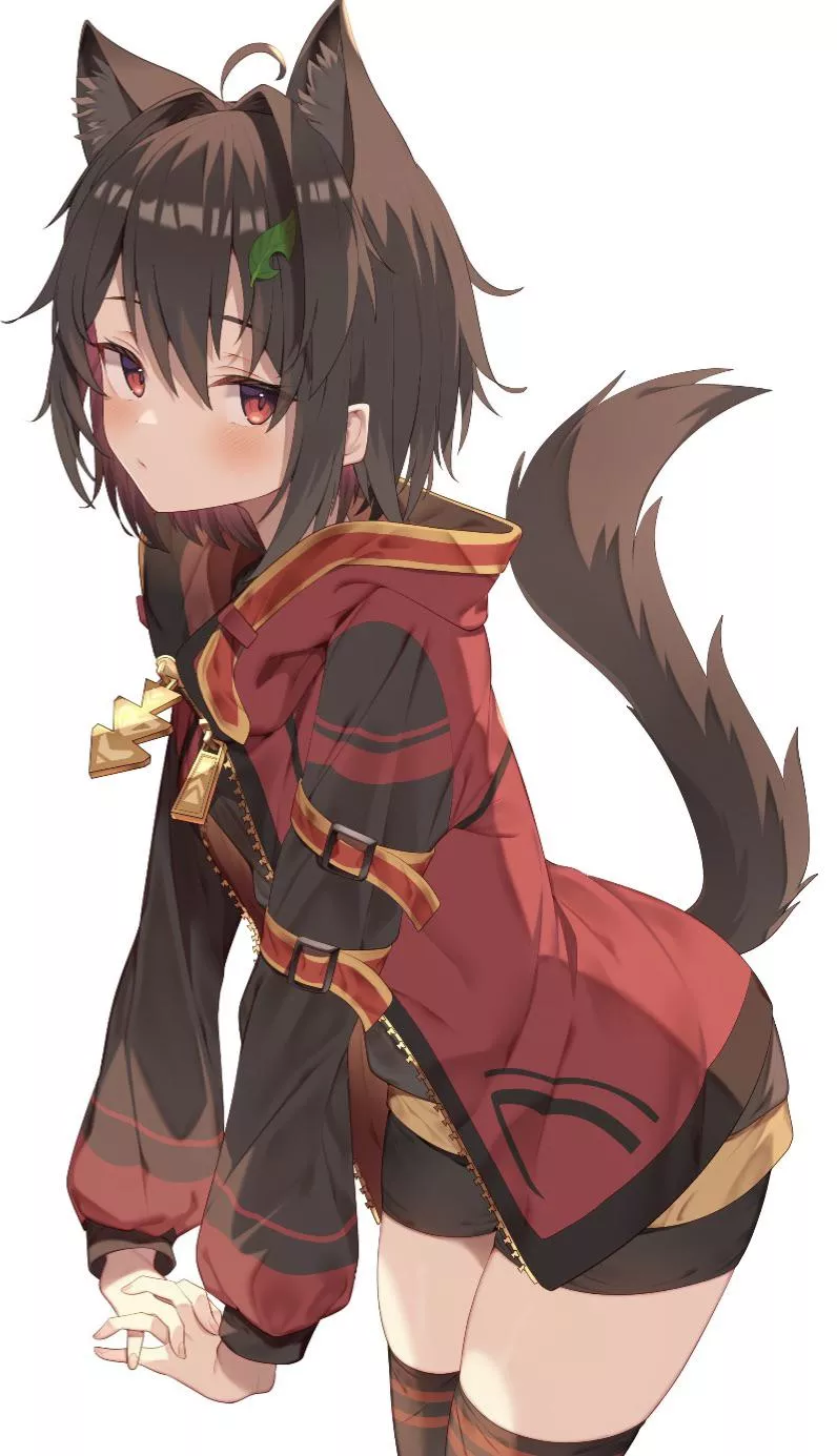 Neko (Megumin) goddess love her so much