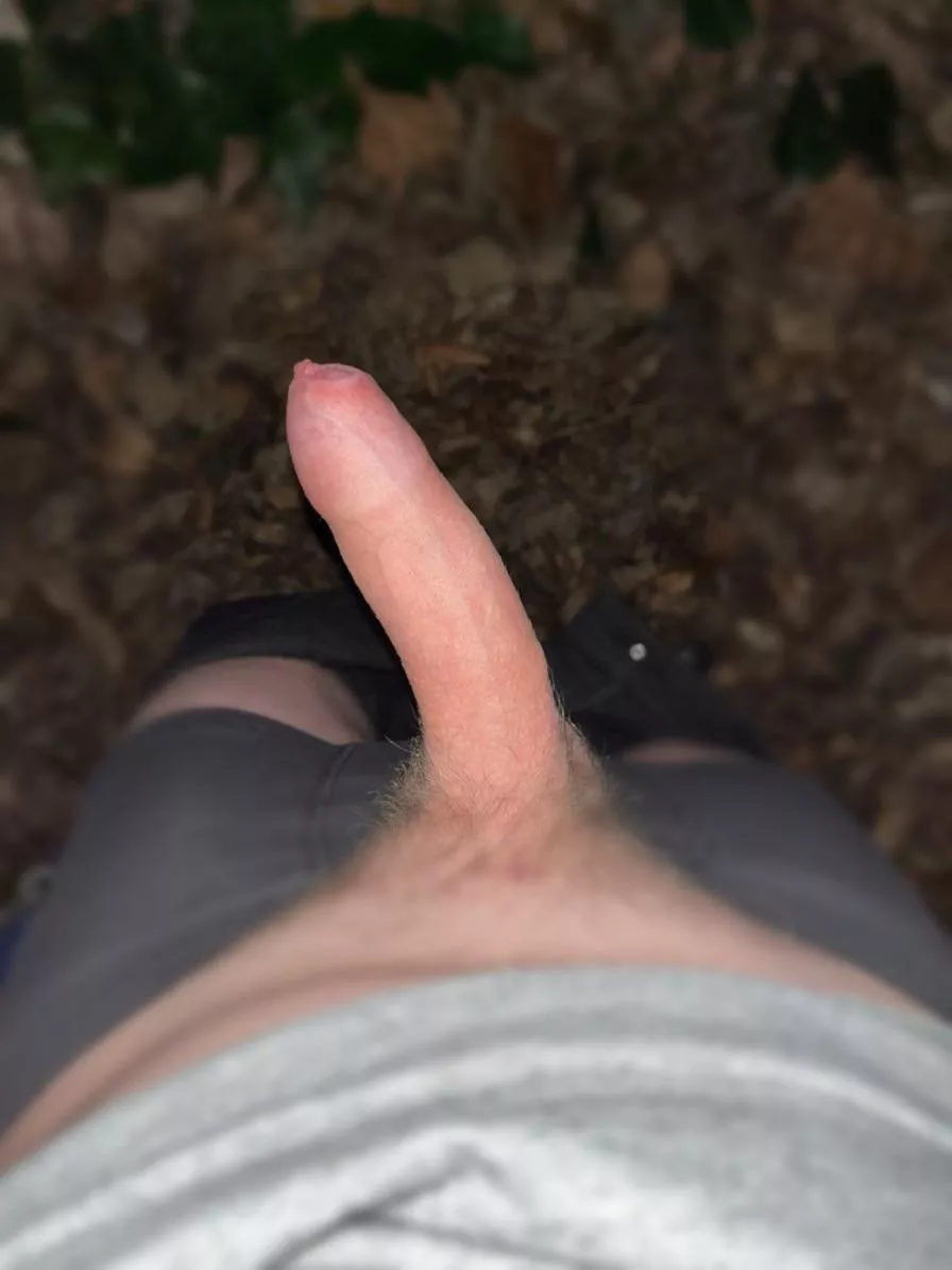 On your knees. My cock needs sucking