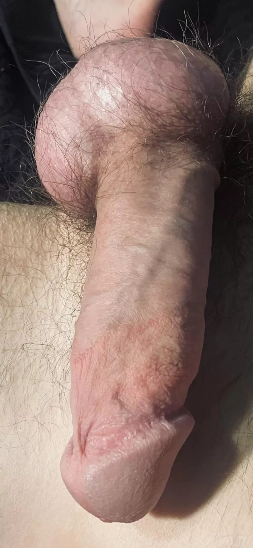 One hairy cock up for grabs. Any takers?