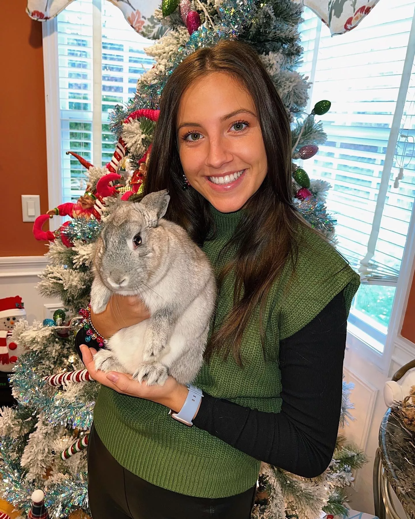 Rabbit for Christmas