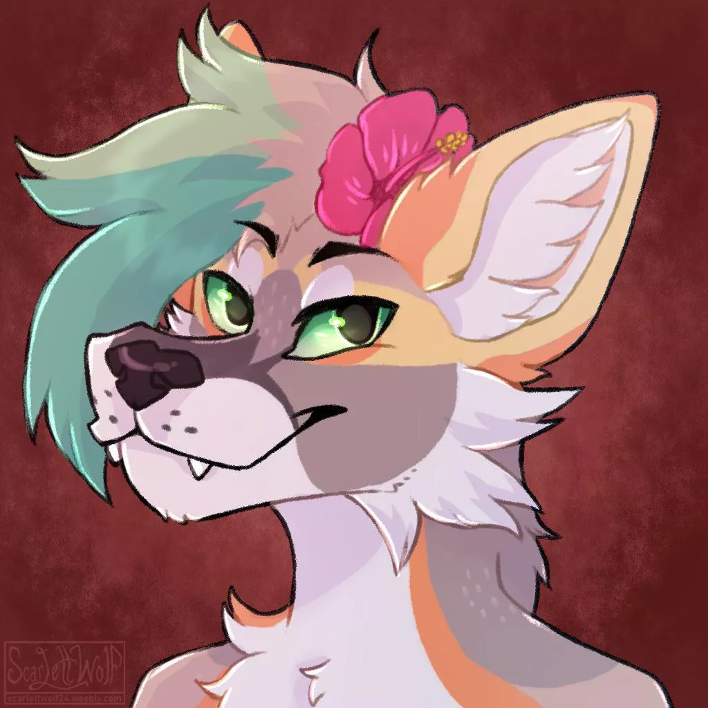 ðŸŒºðŸŒºðŸœ(@ScarlettWolf24)