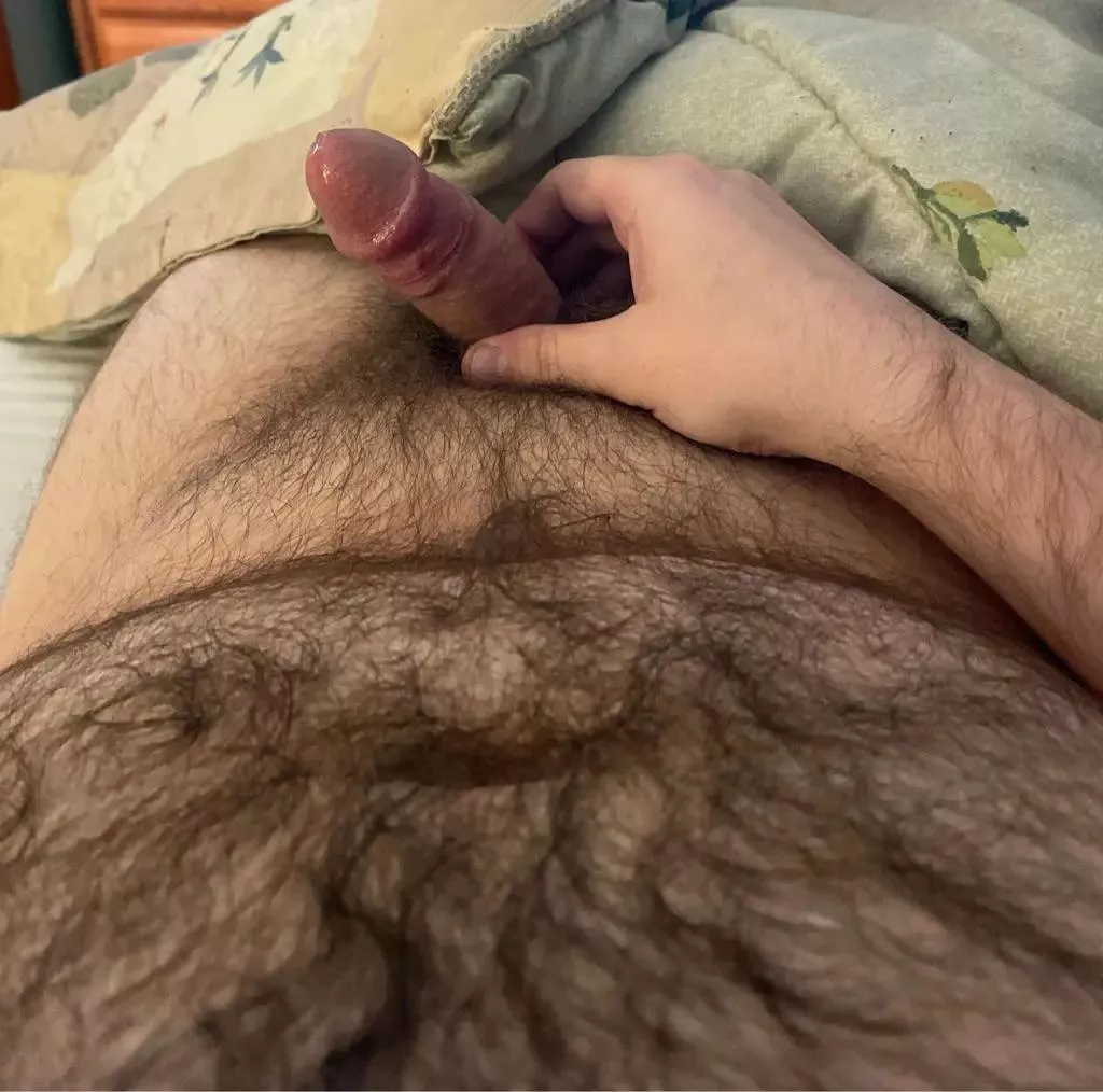 28. Any Daddy Bears want to help me out?