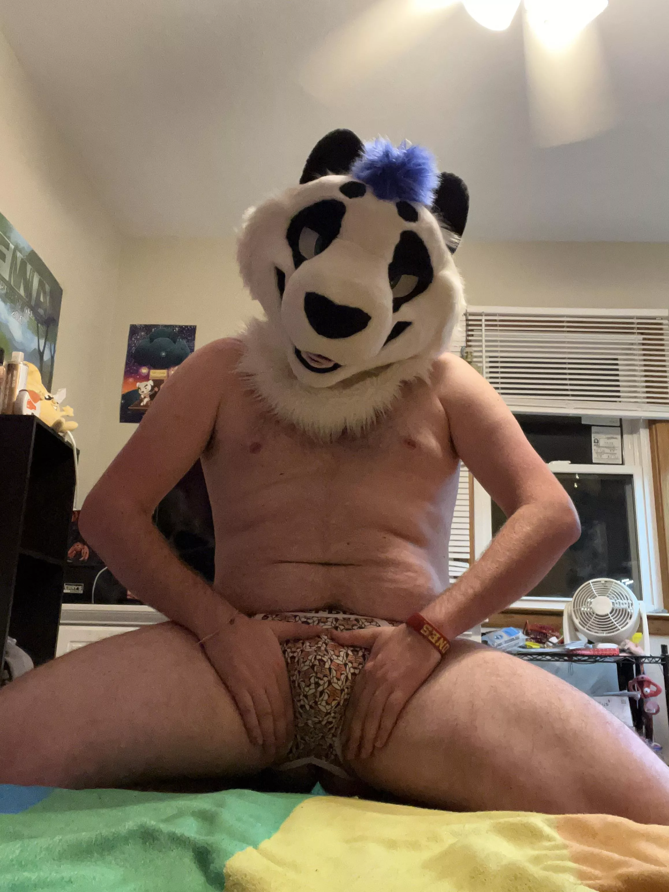 A panda taking some pictures for Jocktober? Anything catch your interest?