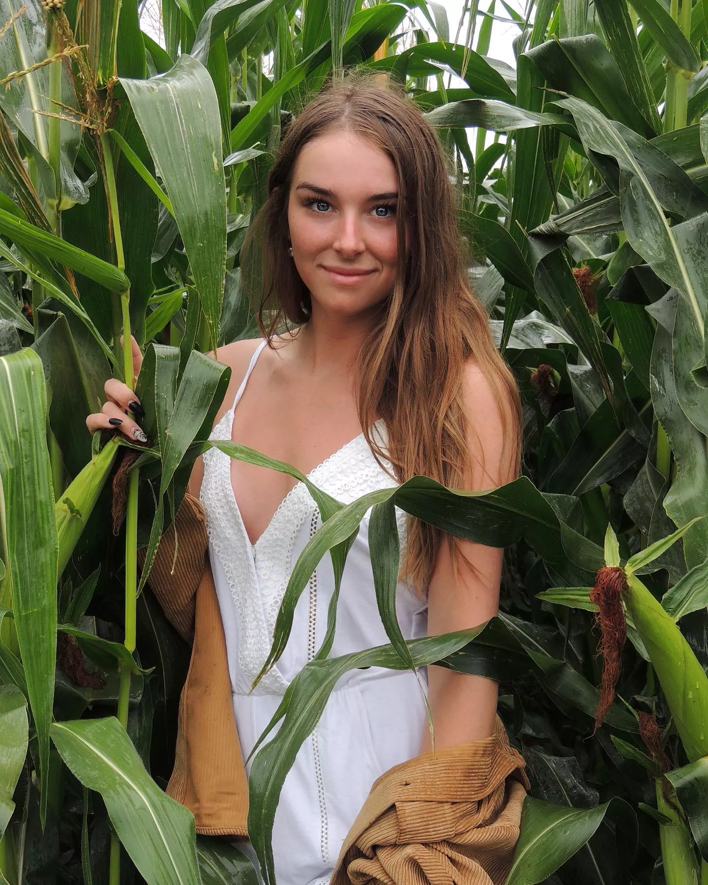 corn field