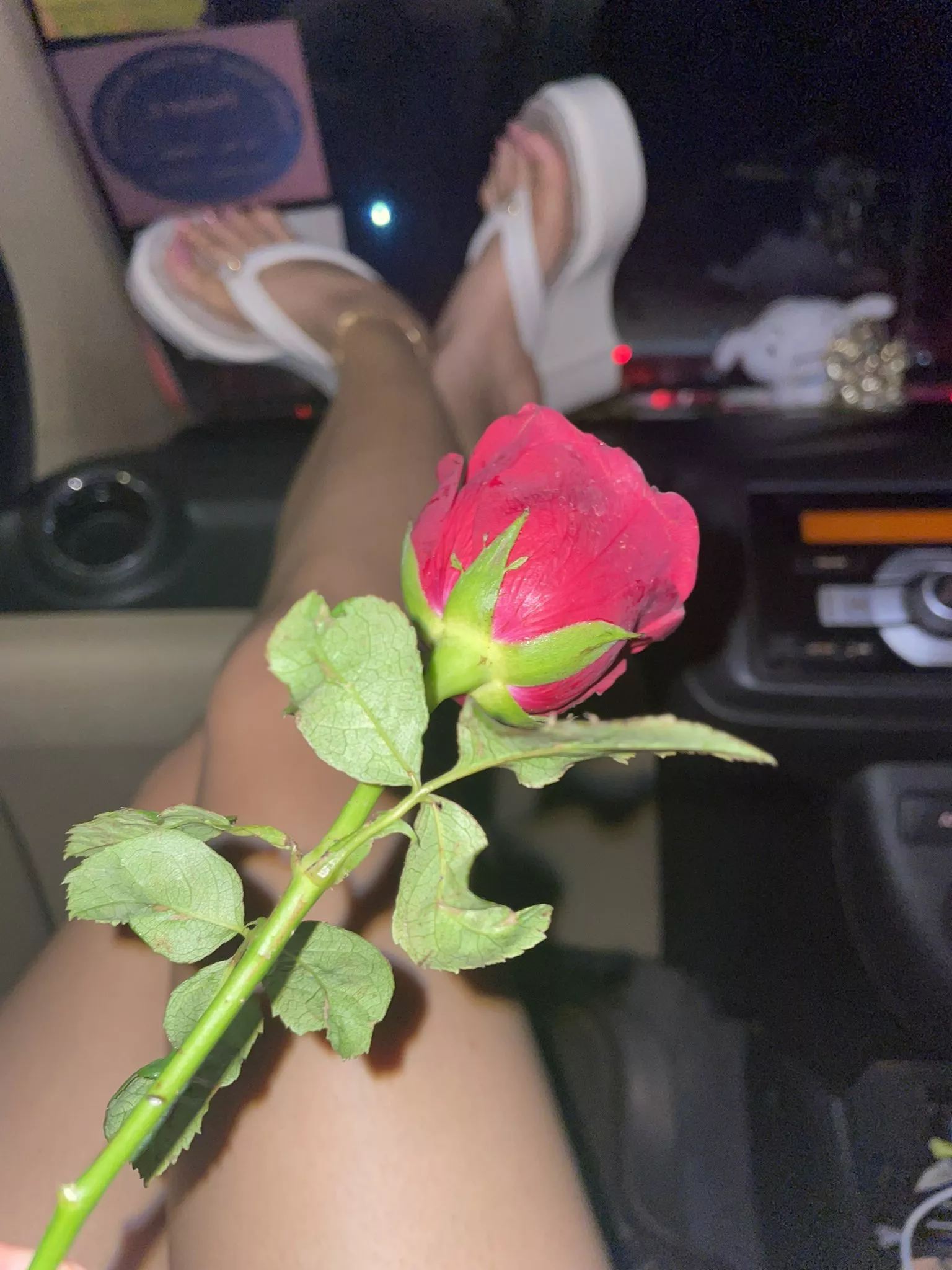 Send me a rose. [F]