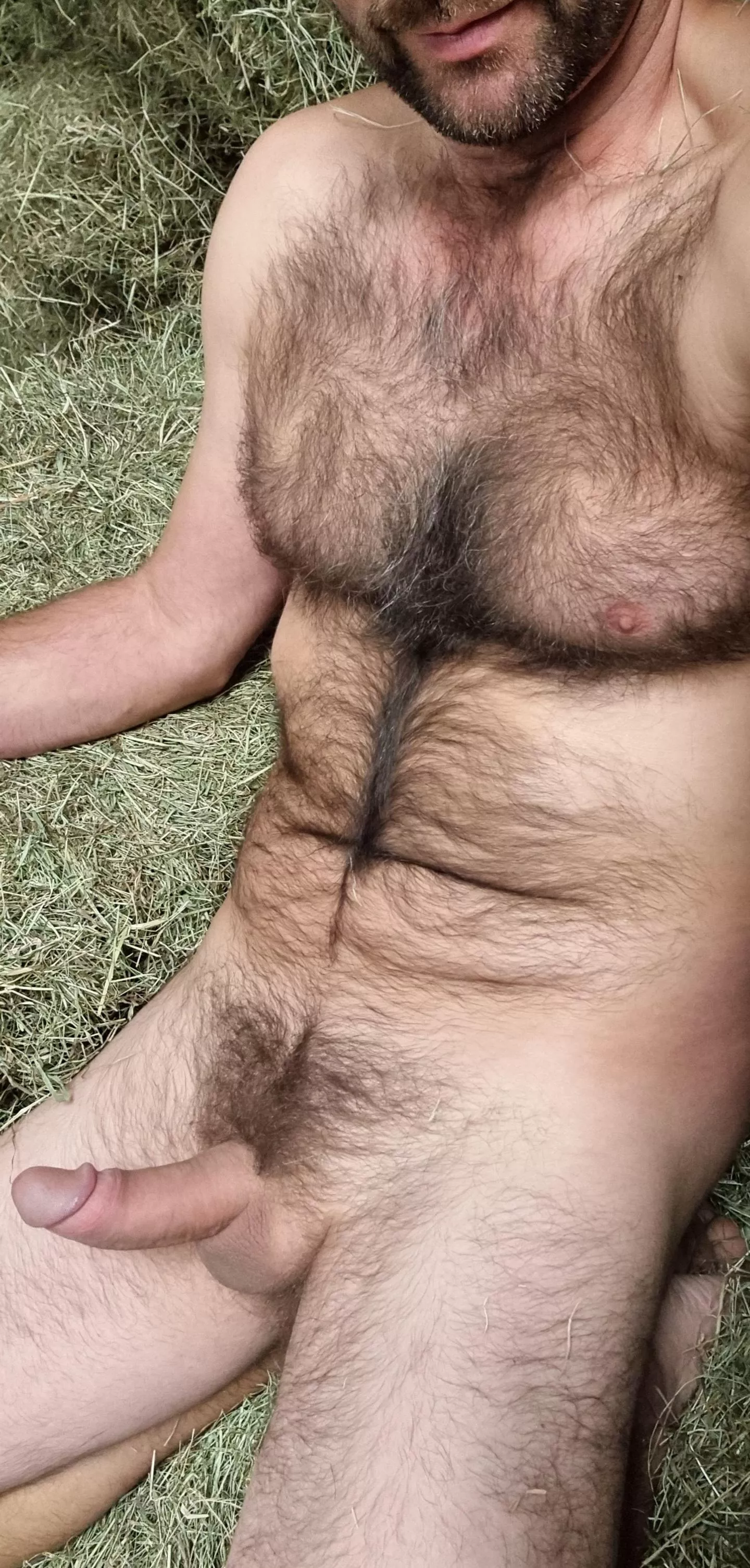 (52) Wanna play in the hay?