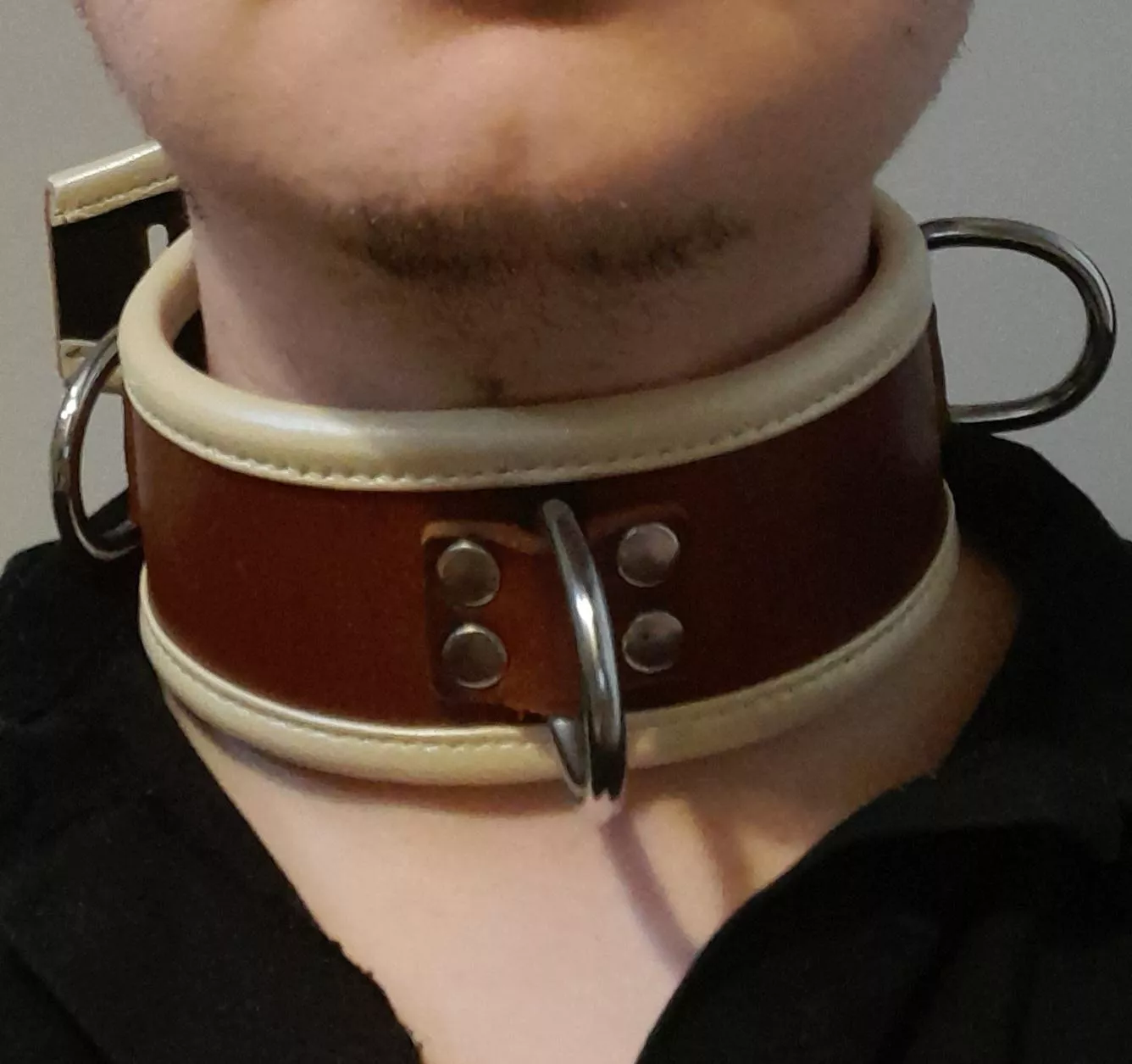 Brown collar. should I lock it on?