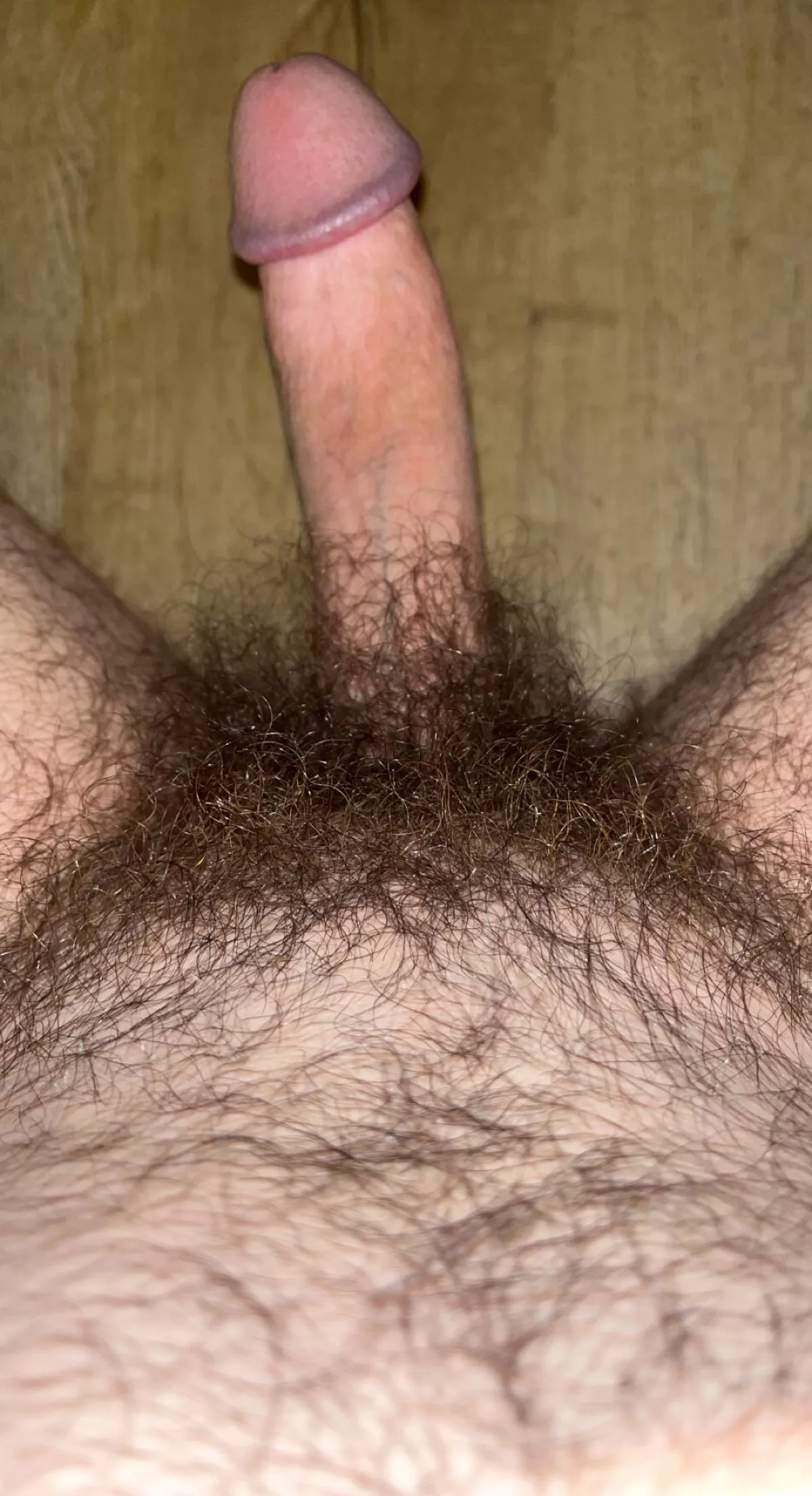 Do you get turned on by my hairy cock too?